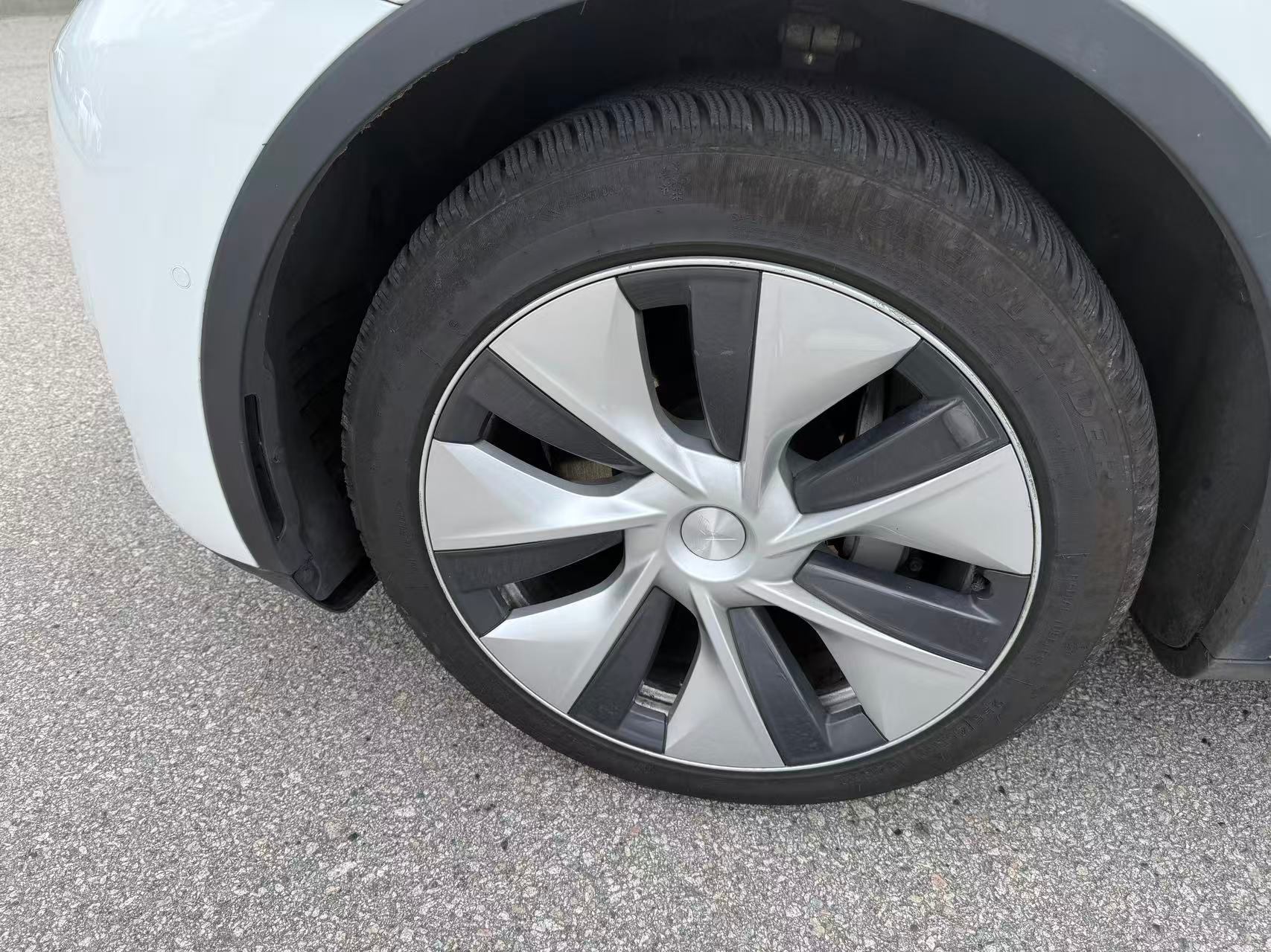 /1310782bcltd/2022-Tesla-ModelY-8136782340528623.jpg