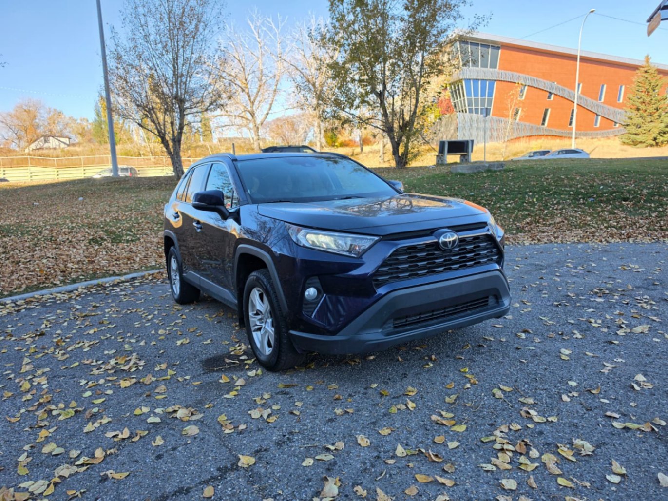 2020 Toyota RAV4 XLE for sale at 8844 Auto Sales