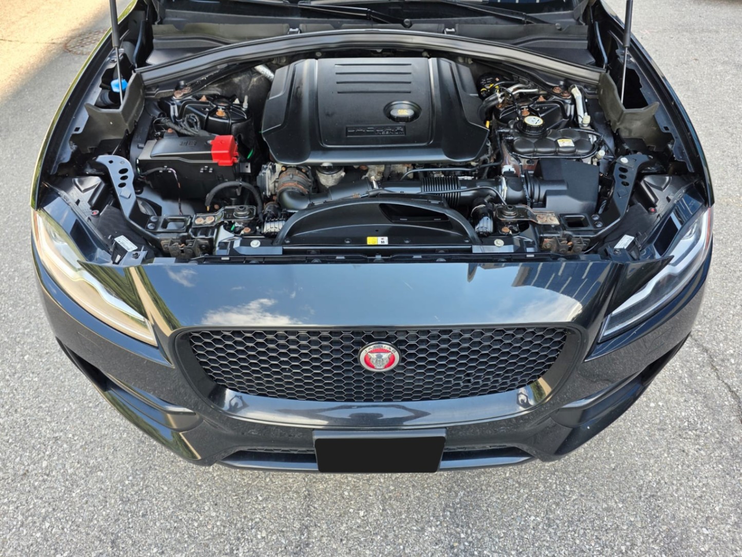 /akmautomotiveltd/2018-Jaguar-F-PACE-5812594482099771.jpg