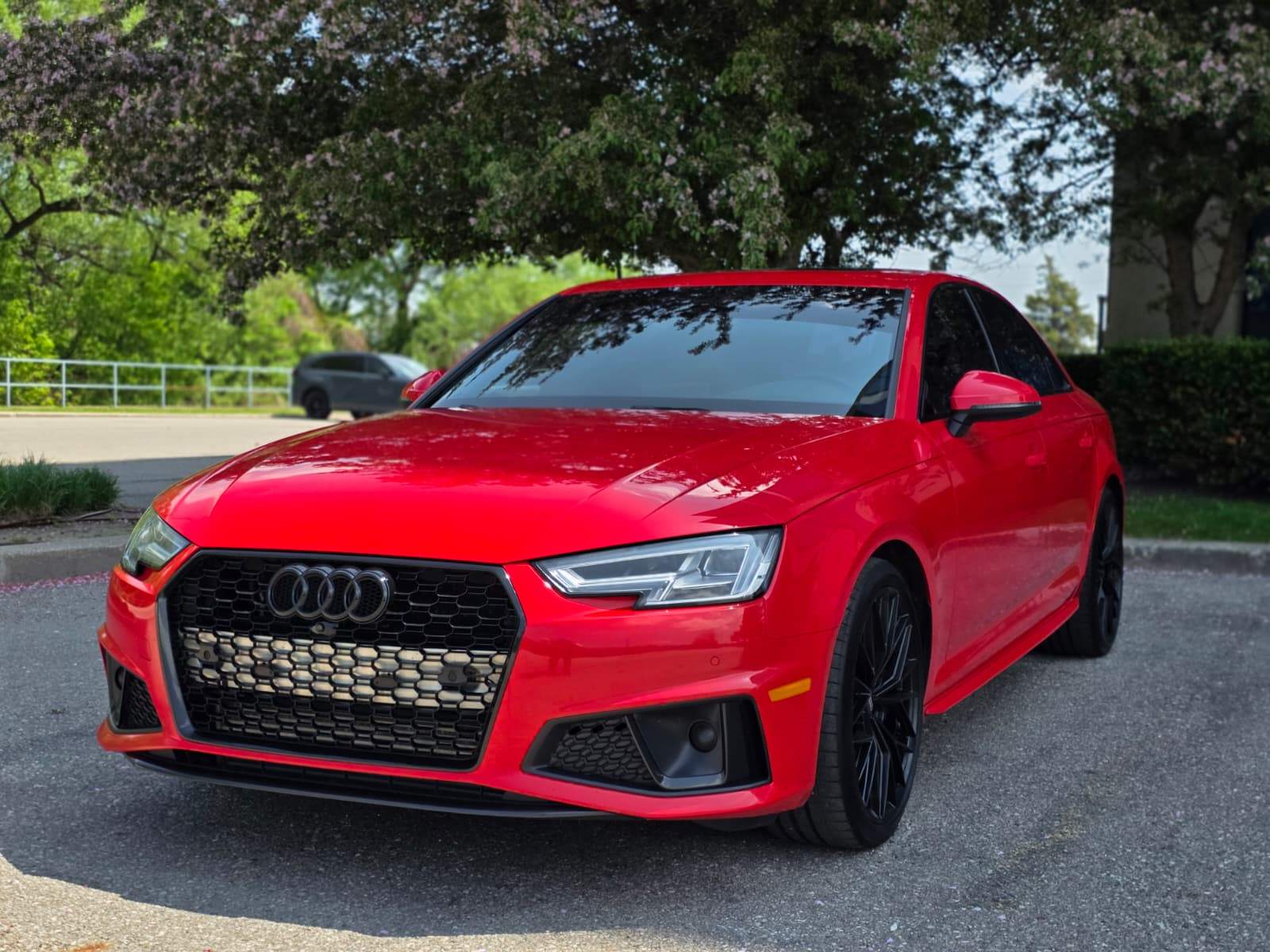 /akmautomotiveltd/2019-Audi-S4-5639062436061435.jpg