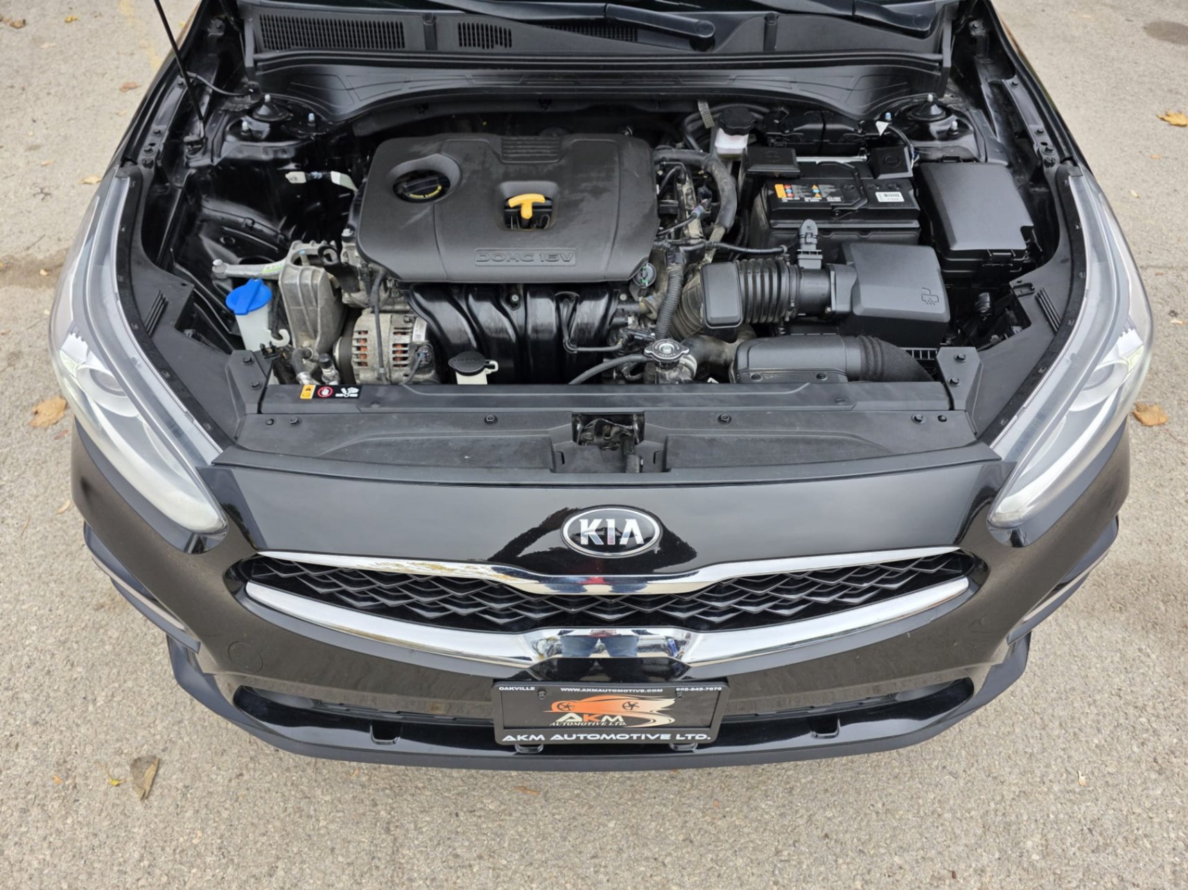 /akmautomotiveltd/2021-Kia-Forte-7279940325688179.jpg