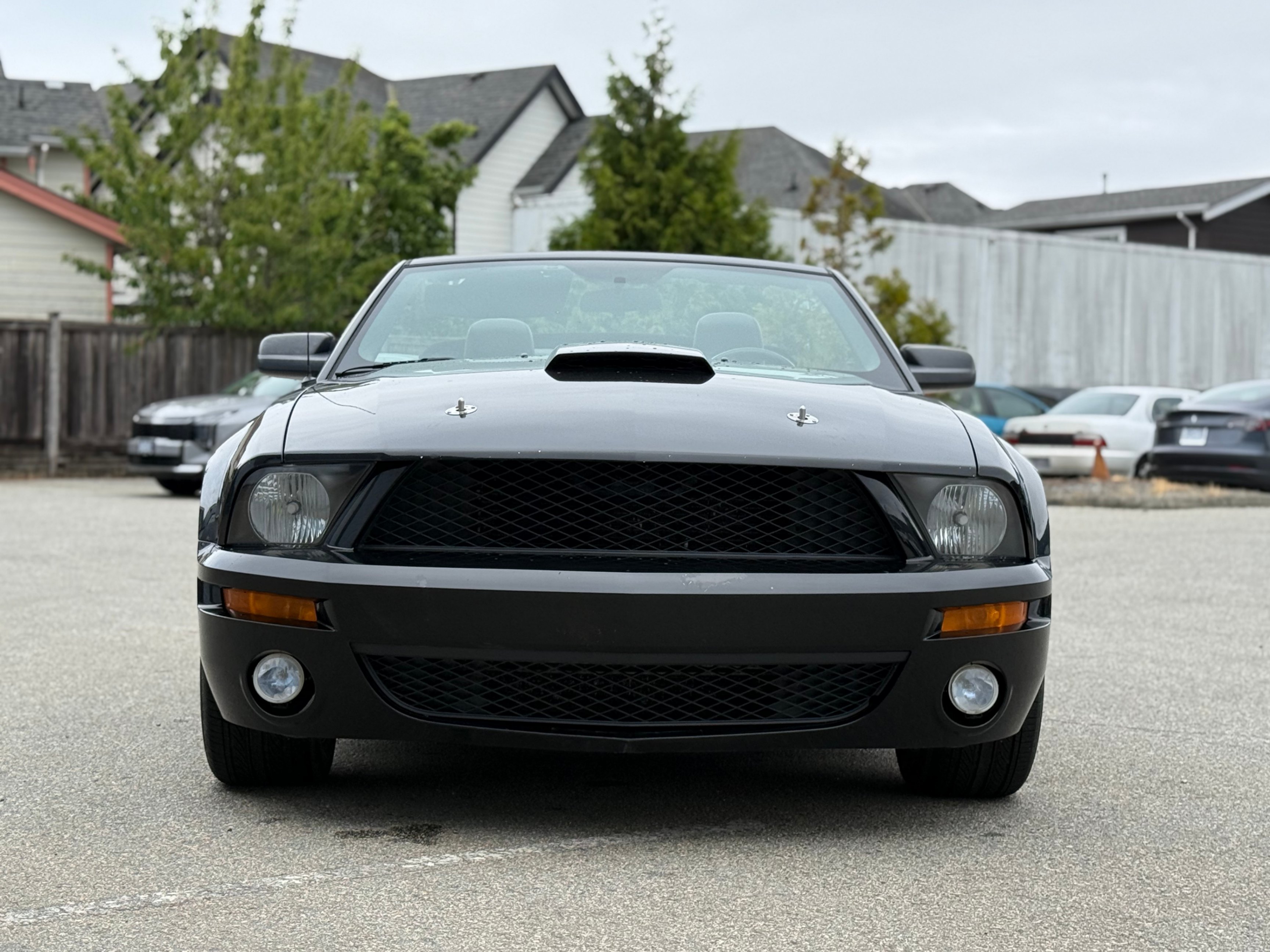 /anycarmotor/2007-Ford-Mustang-14842022513851405.jpg
