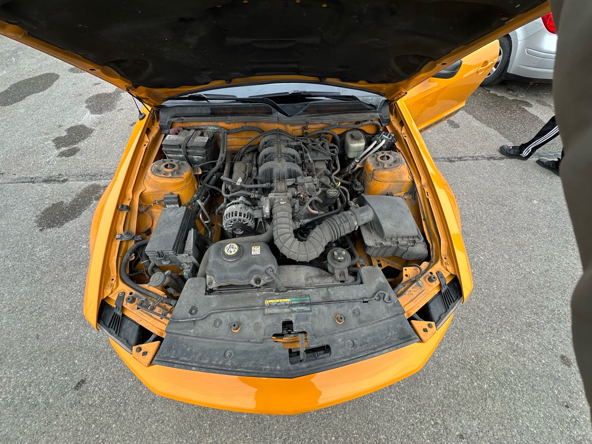 /autocainc/2007-Ford-Mustang-6296296967087789.jpg