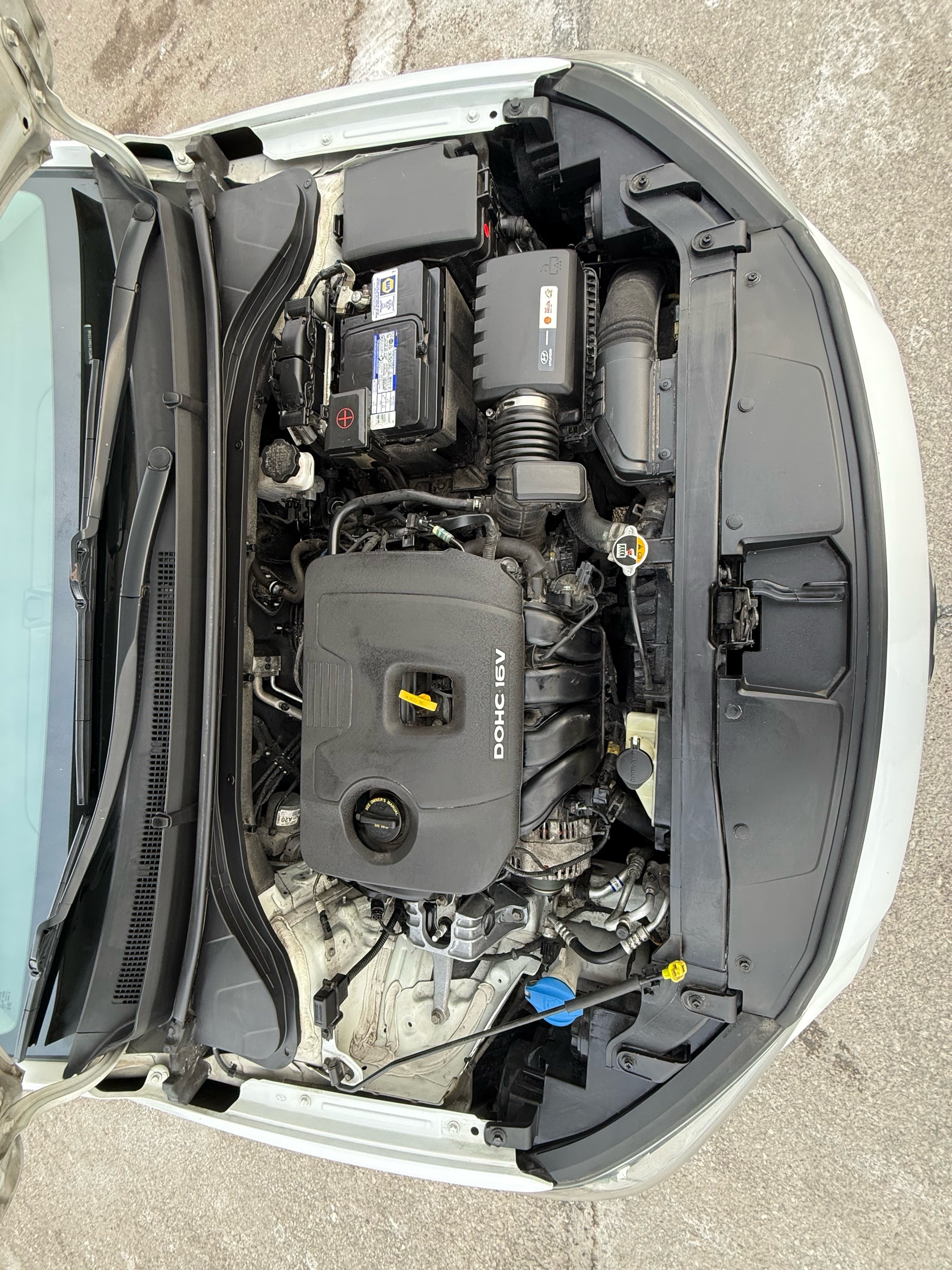 /autocainc/2017-Hyundai-Elantra-6839910369504383.jpg