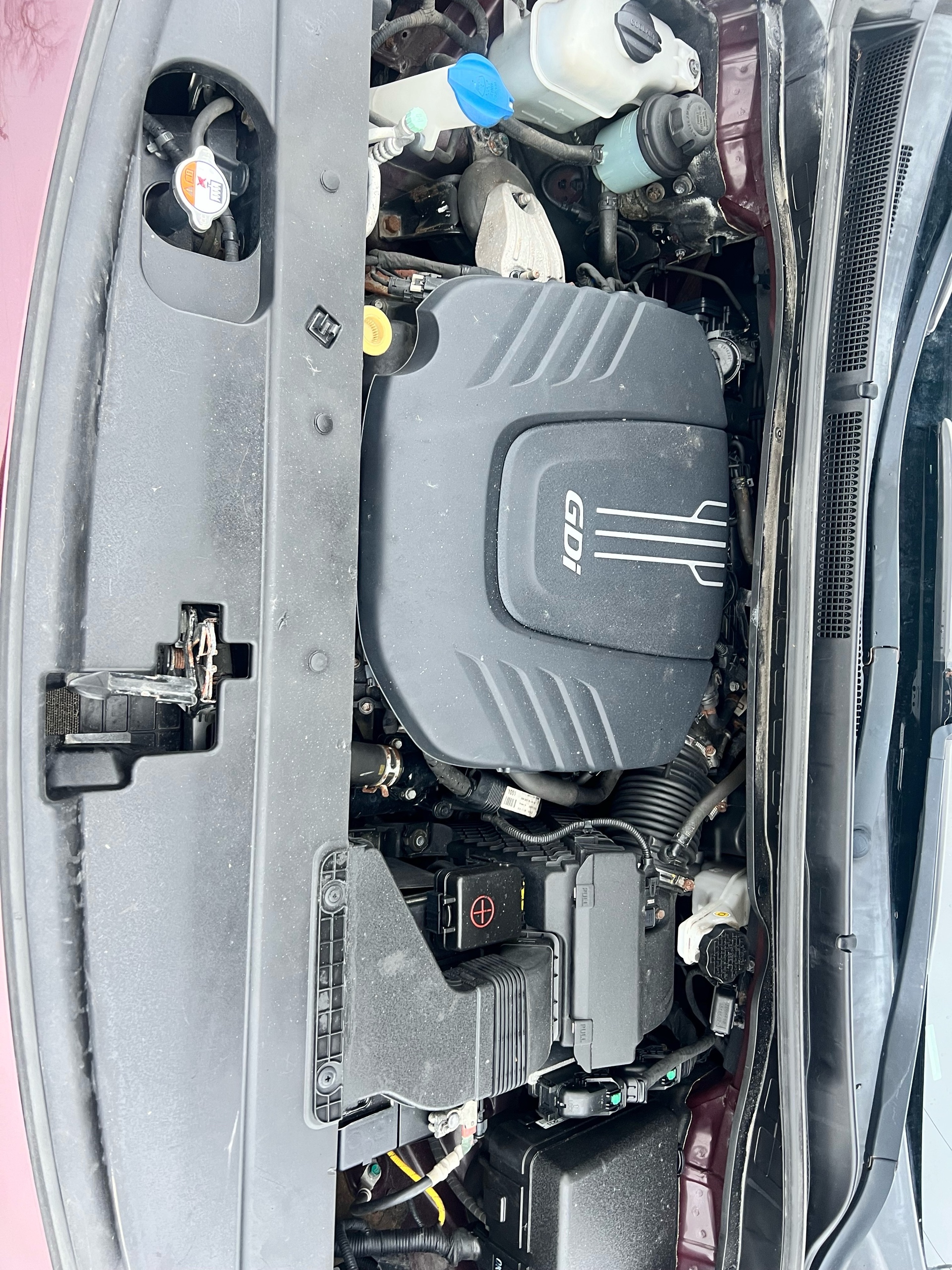 /autocainc/2017-Kia-Sedona-02523336304532653.jpg