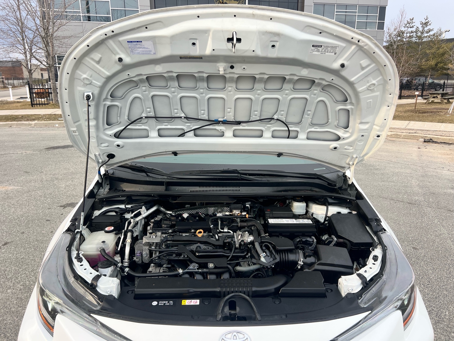 /autocainc/2020-Toyota-Corolla-871199024719544.jpg