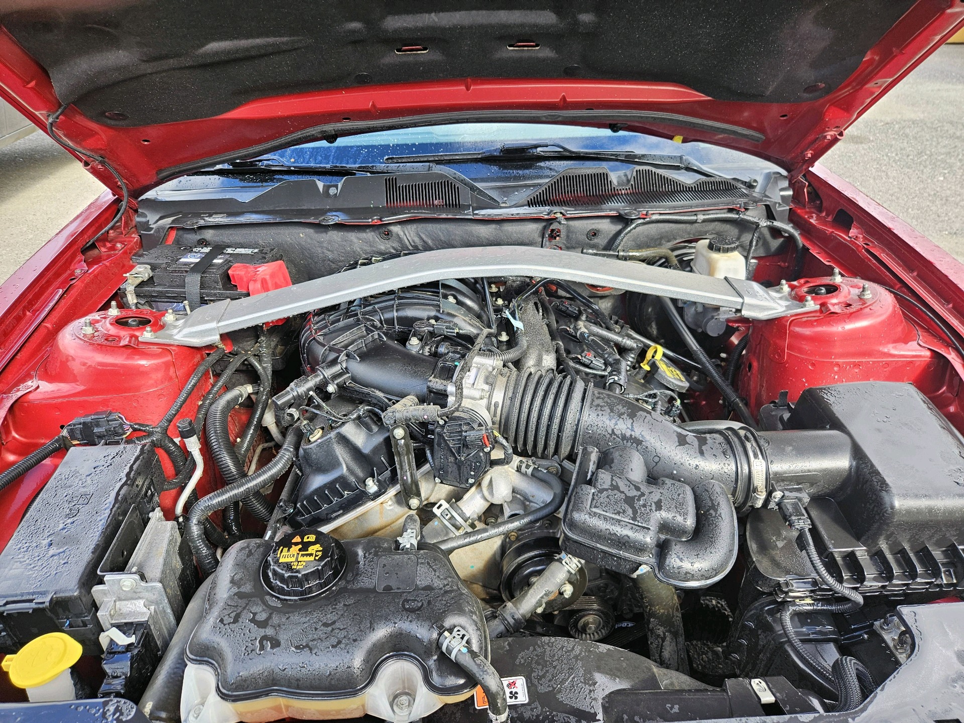 /automotionmotorsrvltd/2011-Ford-Mustang-9936641132856683.jpg