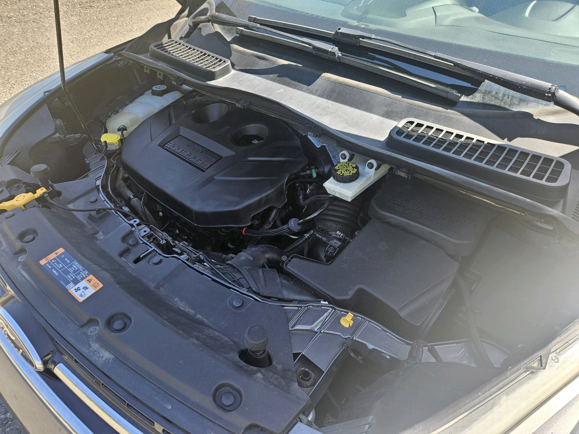 /automotionmotorsrvltd/2013-Ford-Escape-08474416841787358.jpg