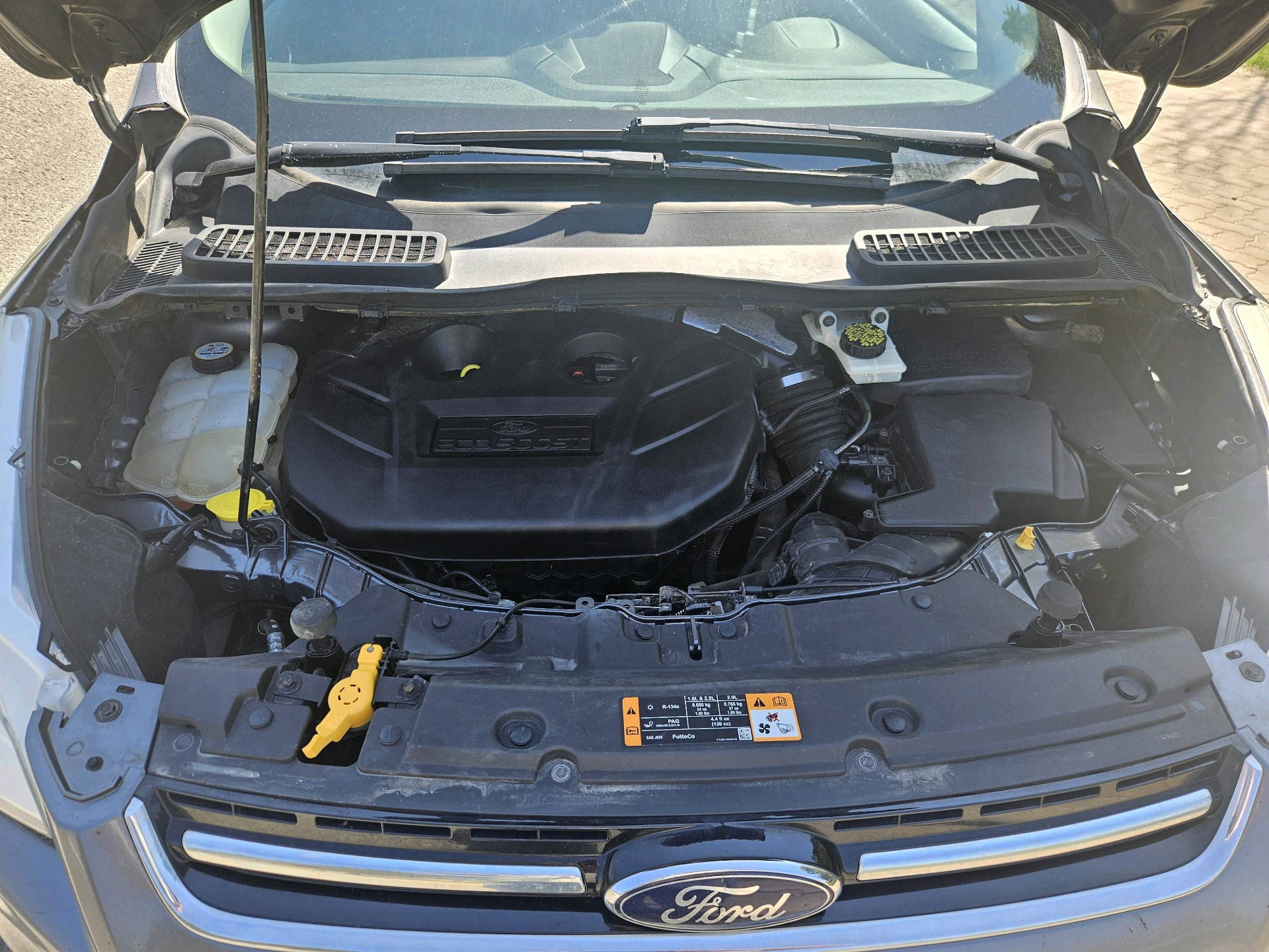 /automotionmotorsrvltd/2013-Ford-Escape-12455195404326114.jpg