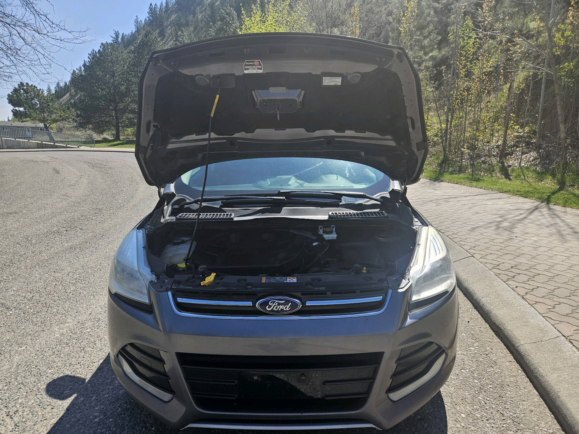 /automotionmotorsrvltd/2013-Ford-Escape-8420599724203319.jpg