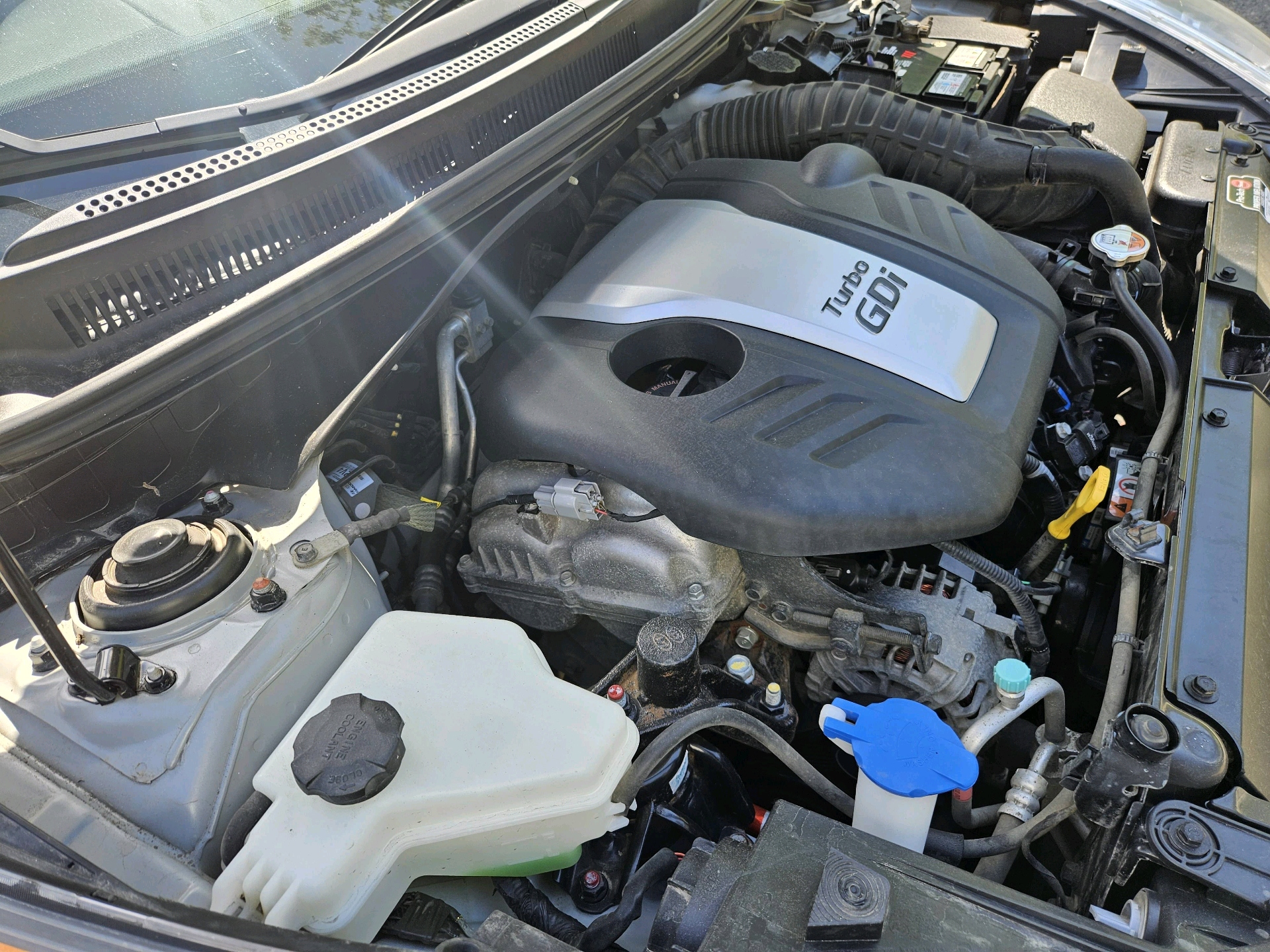 /automotionmotorsrvltd/2013-Hyundai-Veloster-21345239684289408.jpg