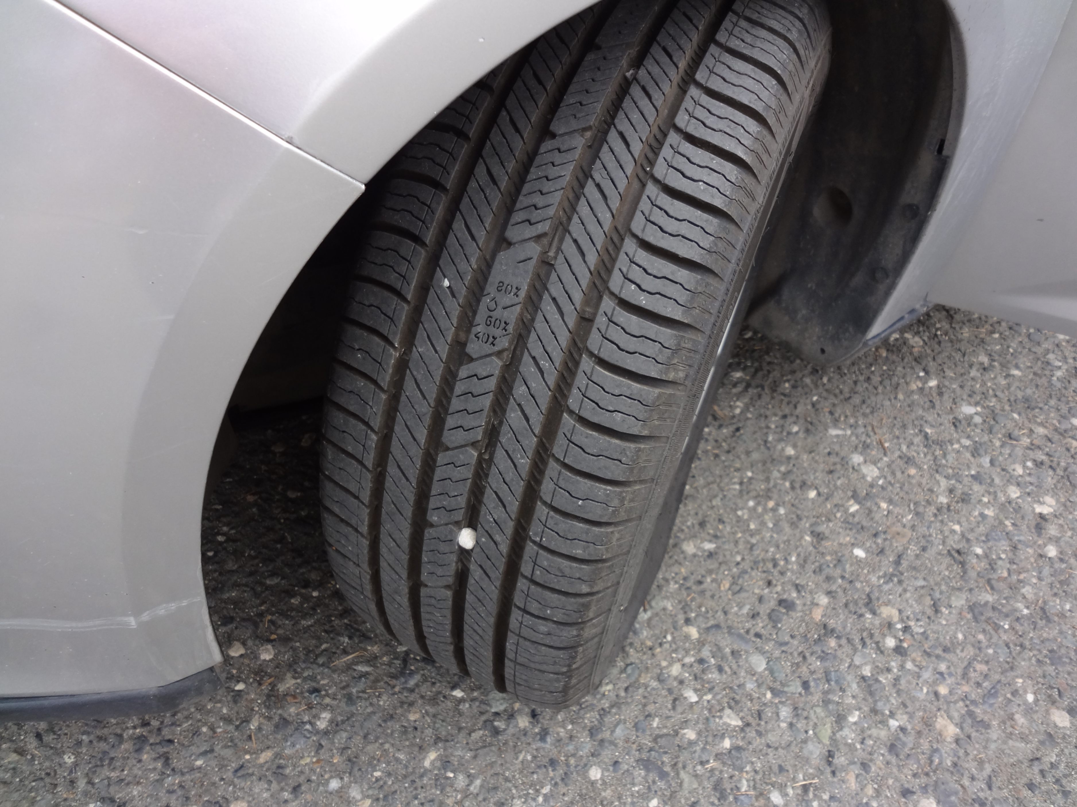 /automotionmotorsrvltd/2015-Ford-Focus-016946714303184285.jpg