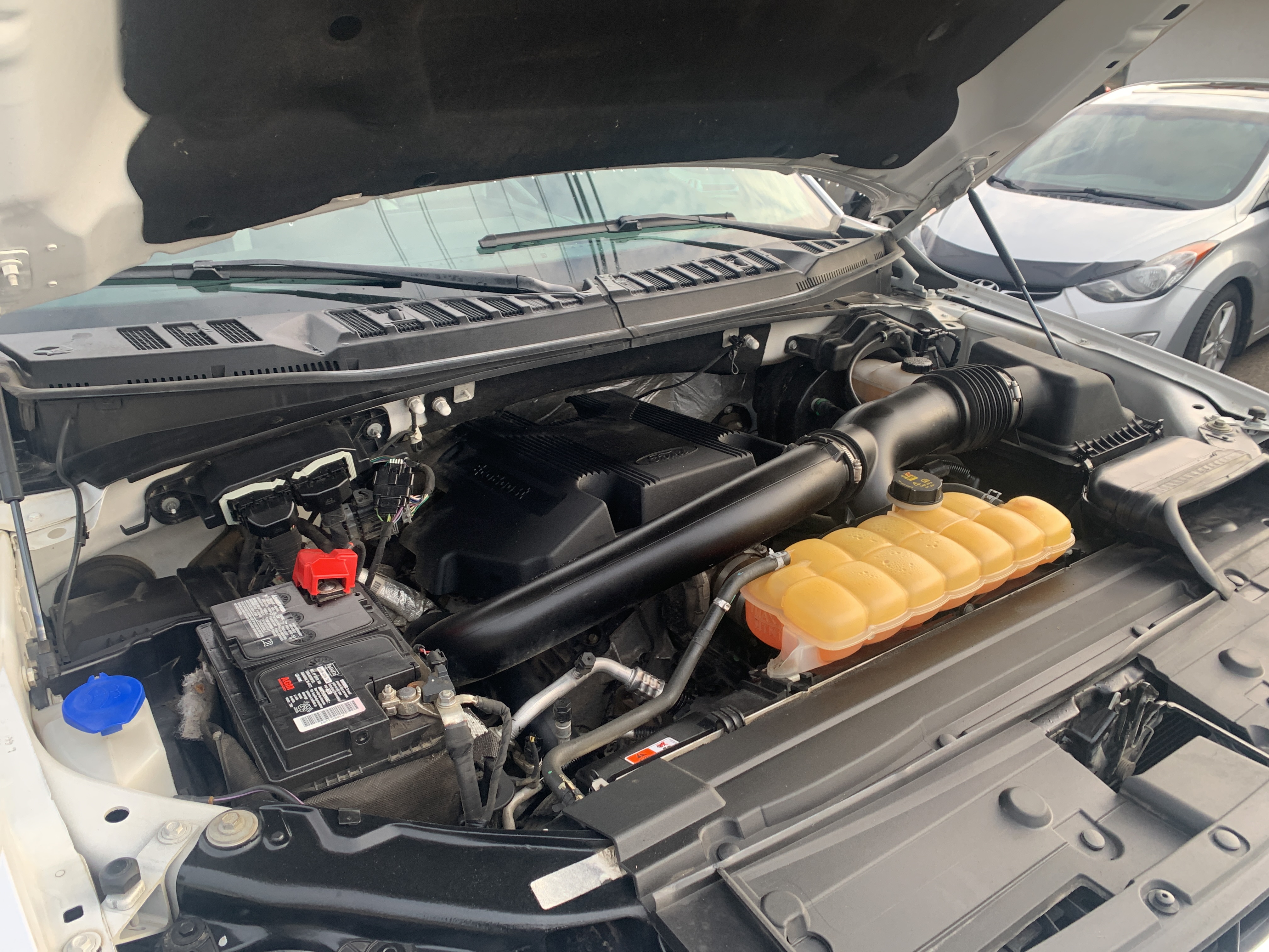 /automotionmotorsrvltd/2018-Ford-F-150-48518916178843785.jpg