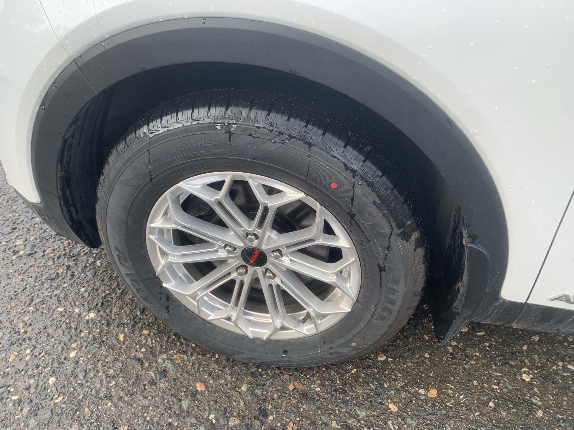 /automotionmotorsrvltd/2019-Kia-Sorento-7323054765987997.jpg