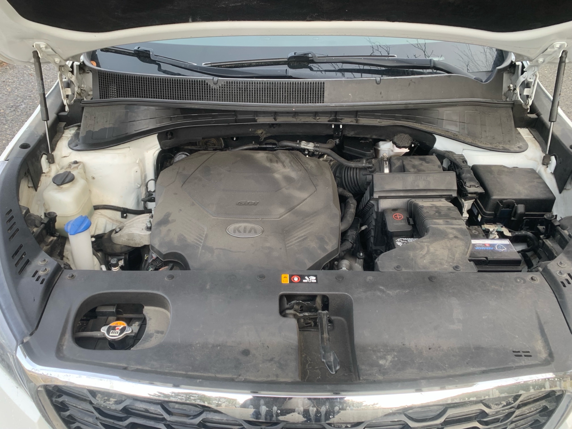 /automotionmotorsrvltd/2019-Kia-Sorento-8817610026523377.jpg