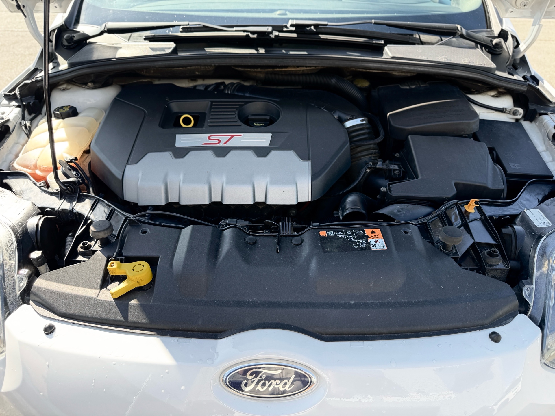 /azureautogallery1/2014-Ford-Focus-12905593394455694.jpg
