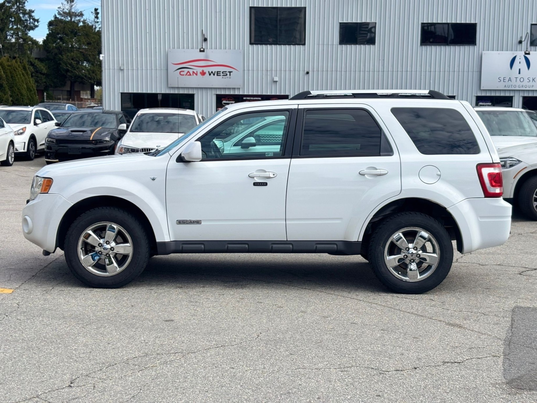 /canwestautoinc/2008-Ford-Escape-8310962334273235.jpg