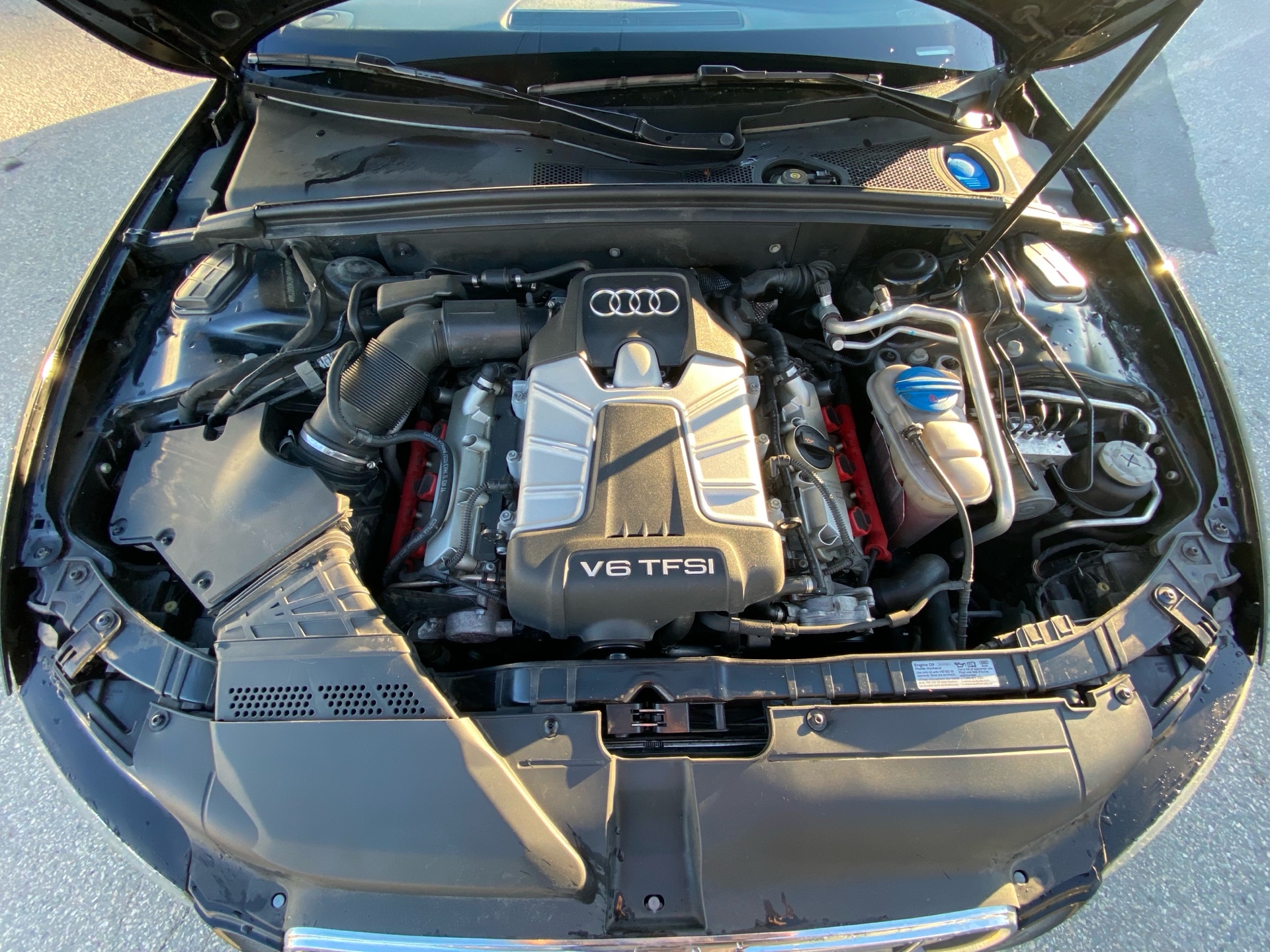 /canwestautoinc/2012-Audi-S5-8135544170034066.jpg