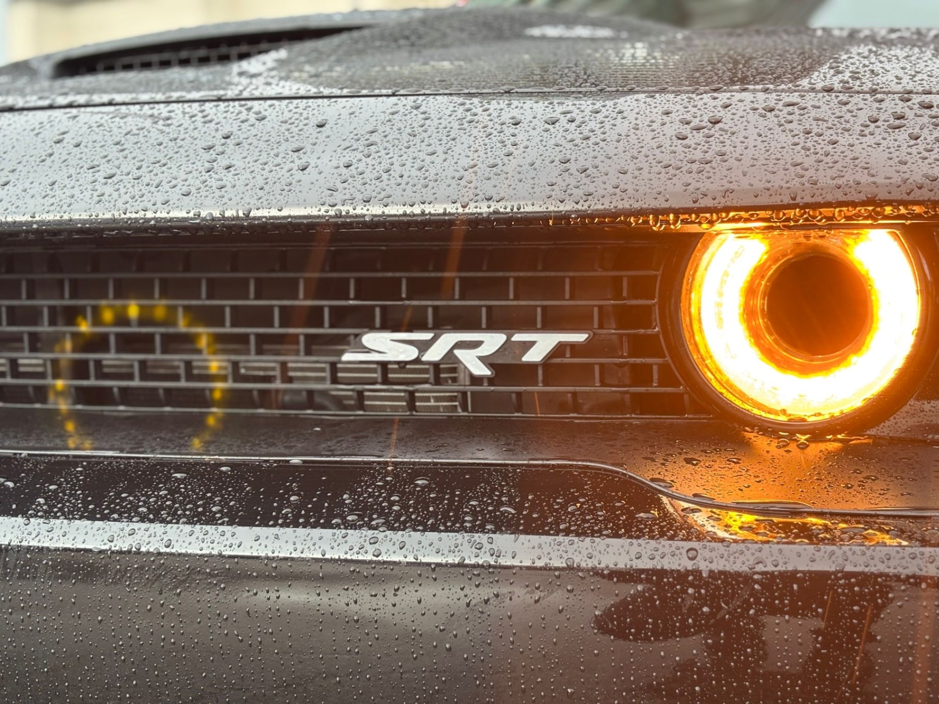 /canwestautoinc/2017-Dodge-Challenger-33640650335419564.jpg