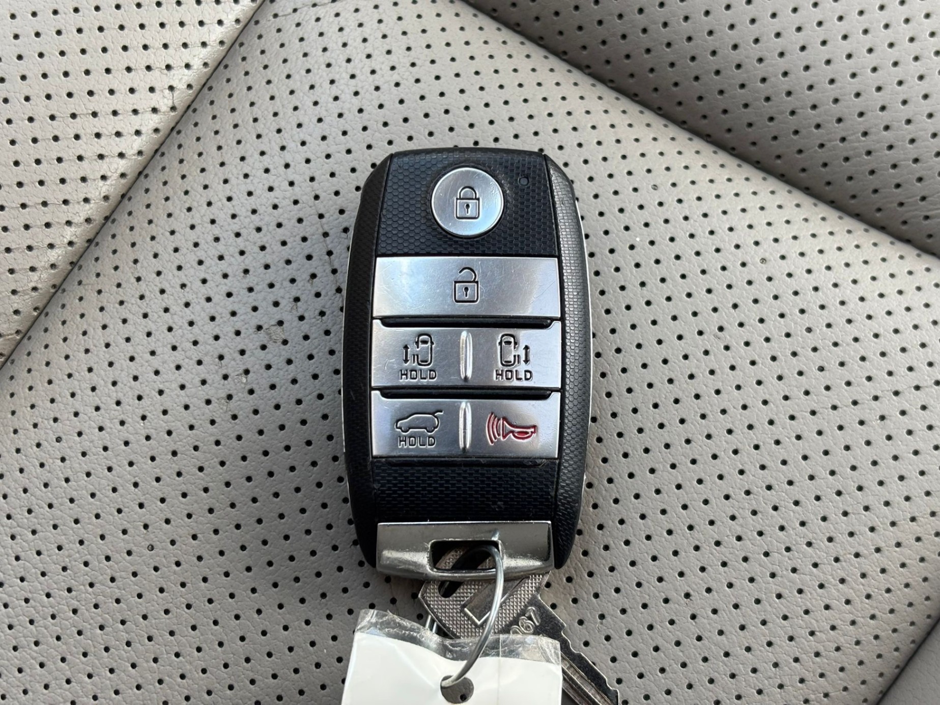 /canwestautoinc/2019-Kia-Sedona-14128833889330927.jpg