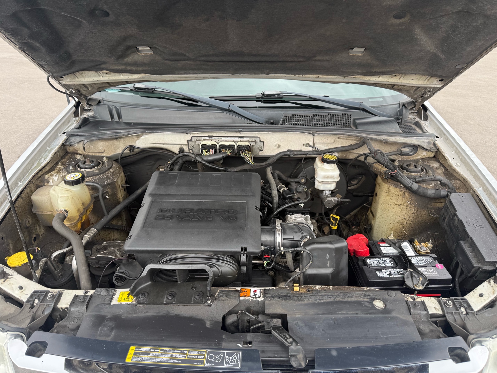/carage/2010-Ford-Escape-04634276673697002.jpg