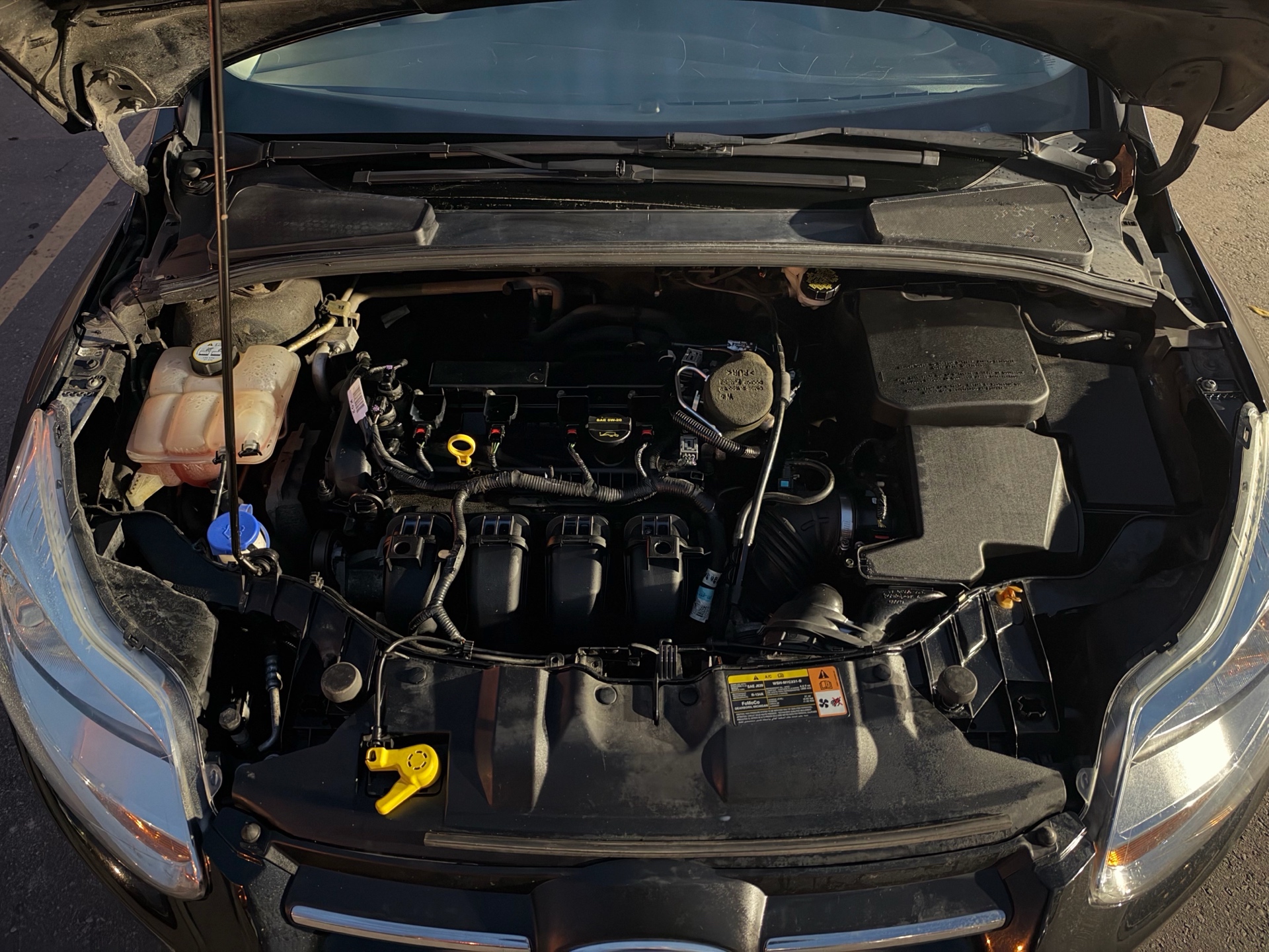 /carage/2013-Ford-Focus-38377916835667913.jpg