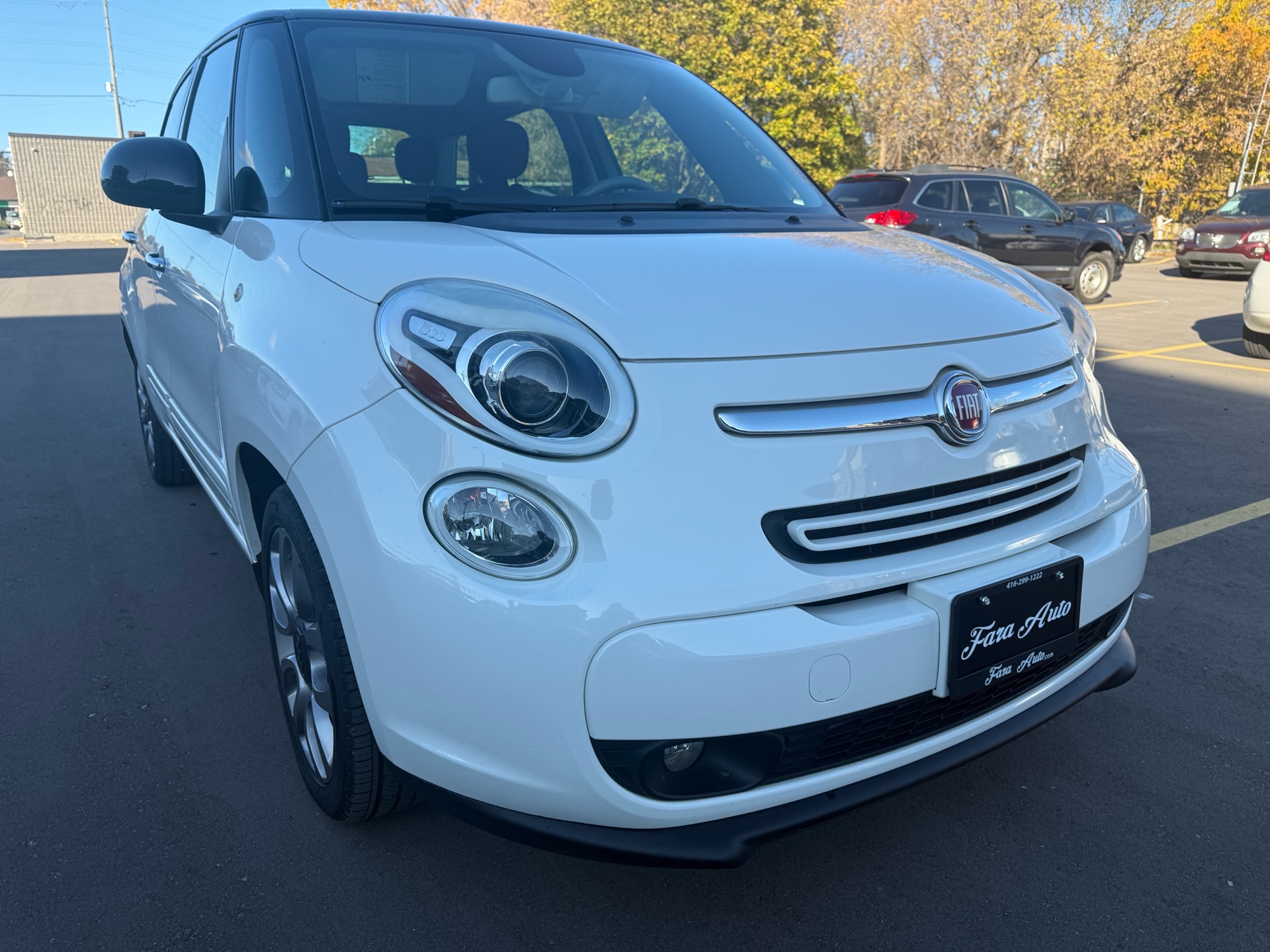 /carage/2014-FIAT-500L-4180505282000275.jpg