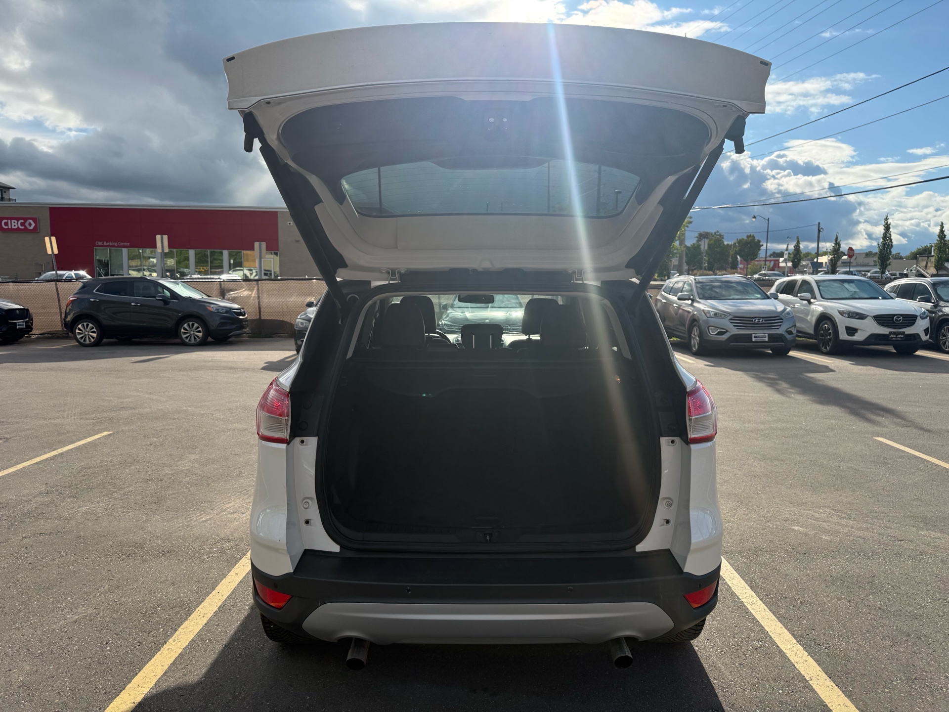 /carage/2014-Ford-Escape-5378030724402836.jpg