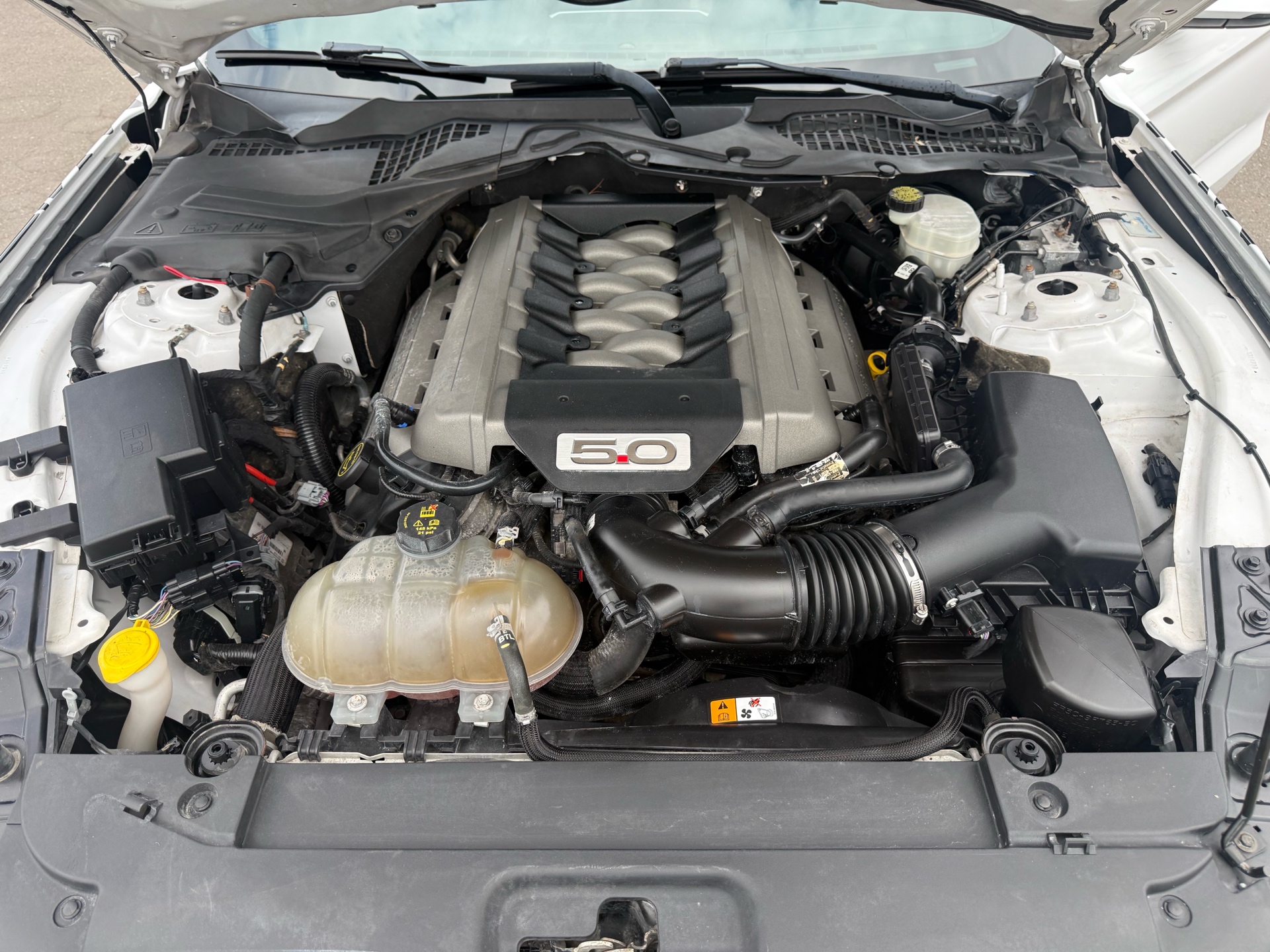/carage/2016-Ford-Mustang-508154303815112.jpg