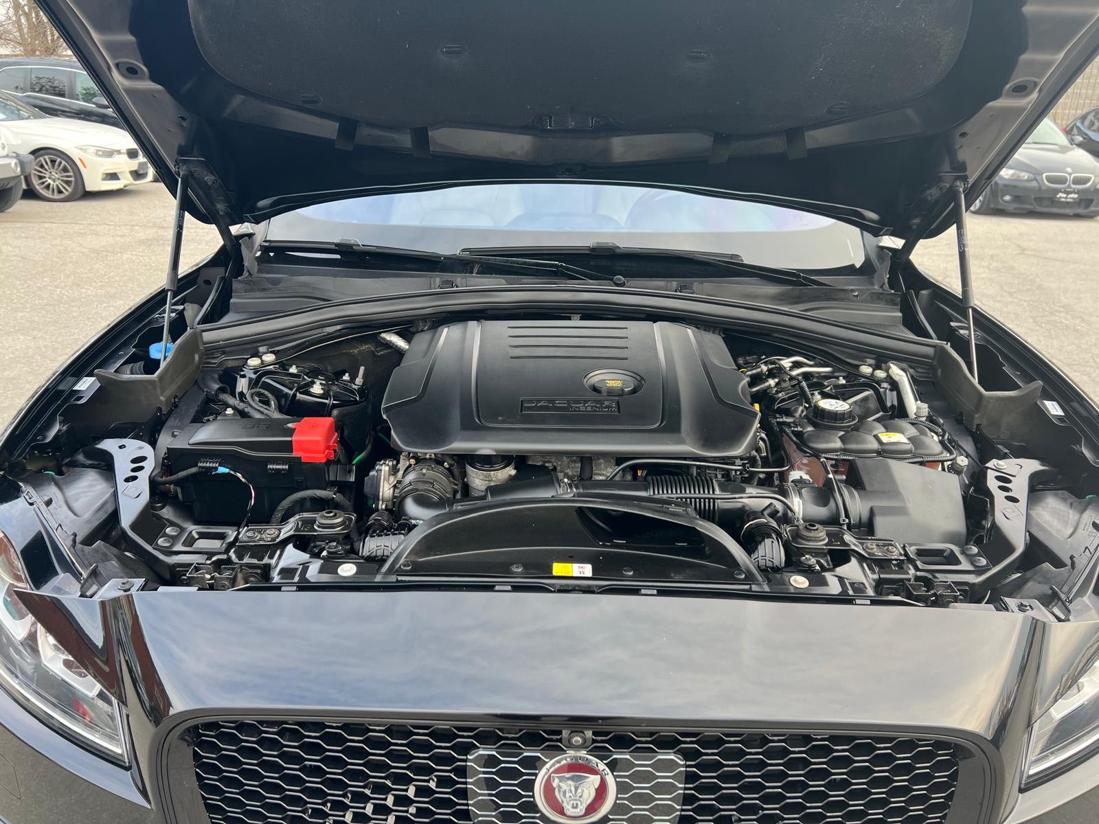 /carage/2019-Jaguar-F-PACE-11280526415549286.jpg