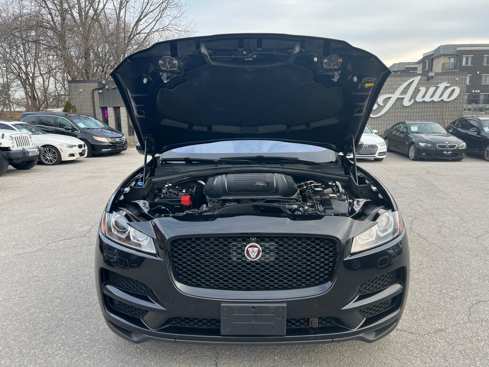 /carage/2019-Jaguar-F-PACE-5963210200795859.jpg