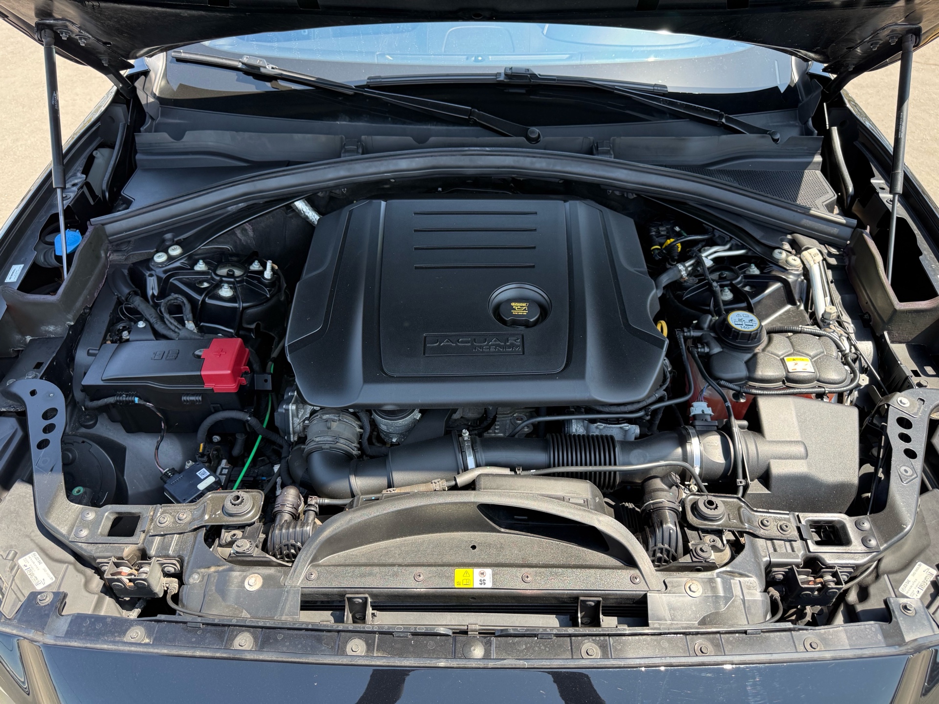 /carage/2019-Jaguar-F-PACE-7343162096978342.jpg