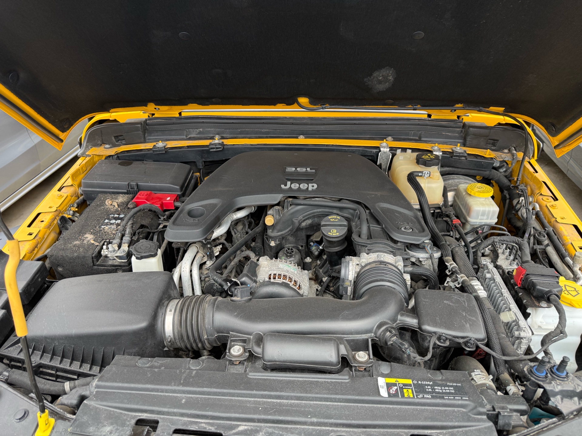 /carage/2019-Jeep-Wrangler-2750143705484236.jpg