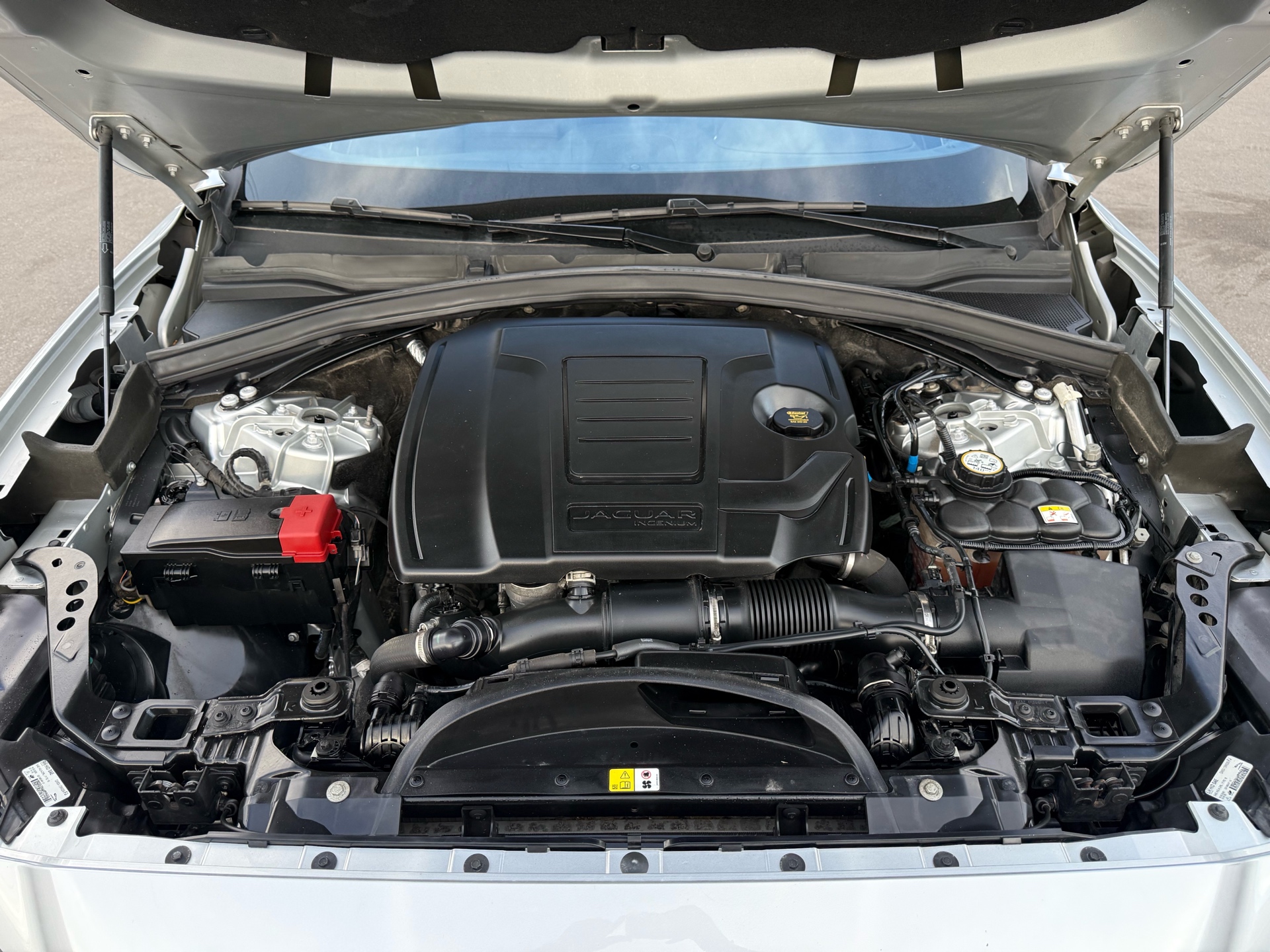 /carage/2020-Jaguar-F-PACE-2870390718634692.jpg