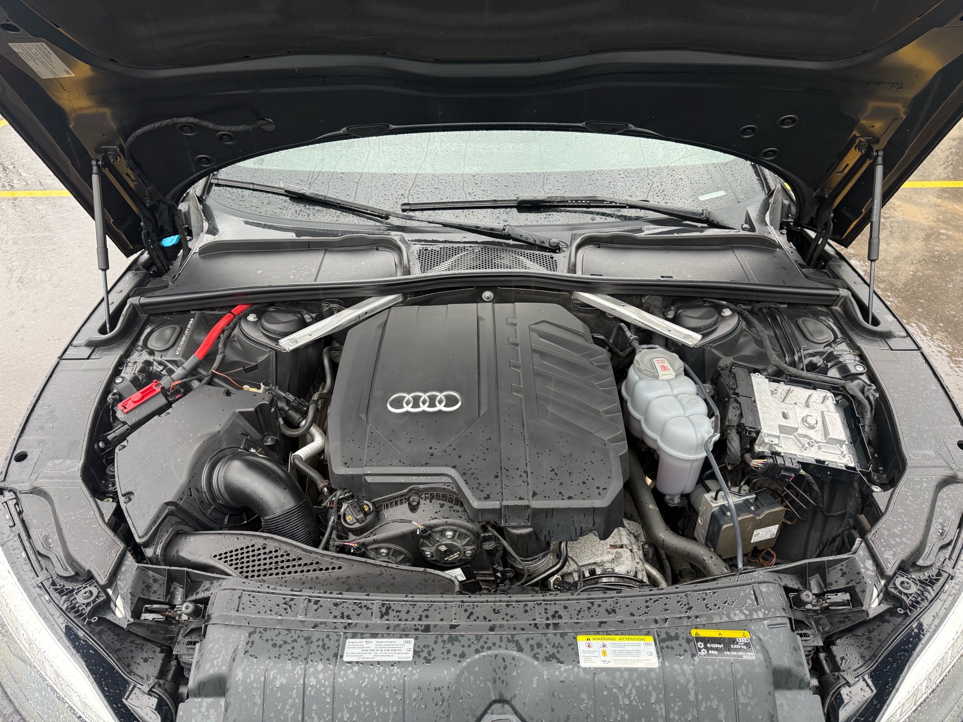 /carage/2021-Audi-A5-009786539587947729.jpg