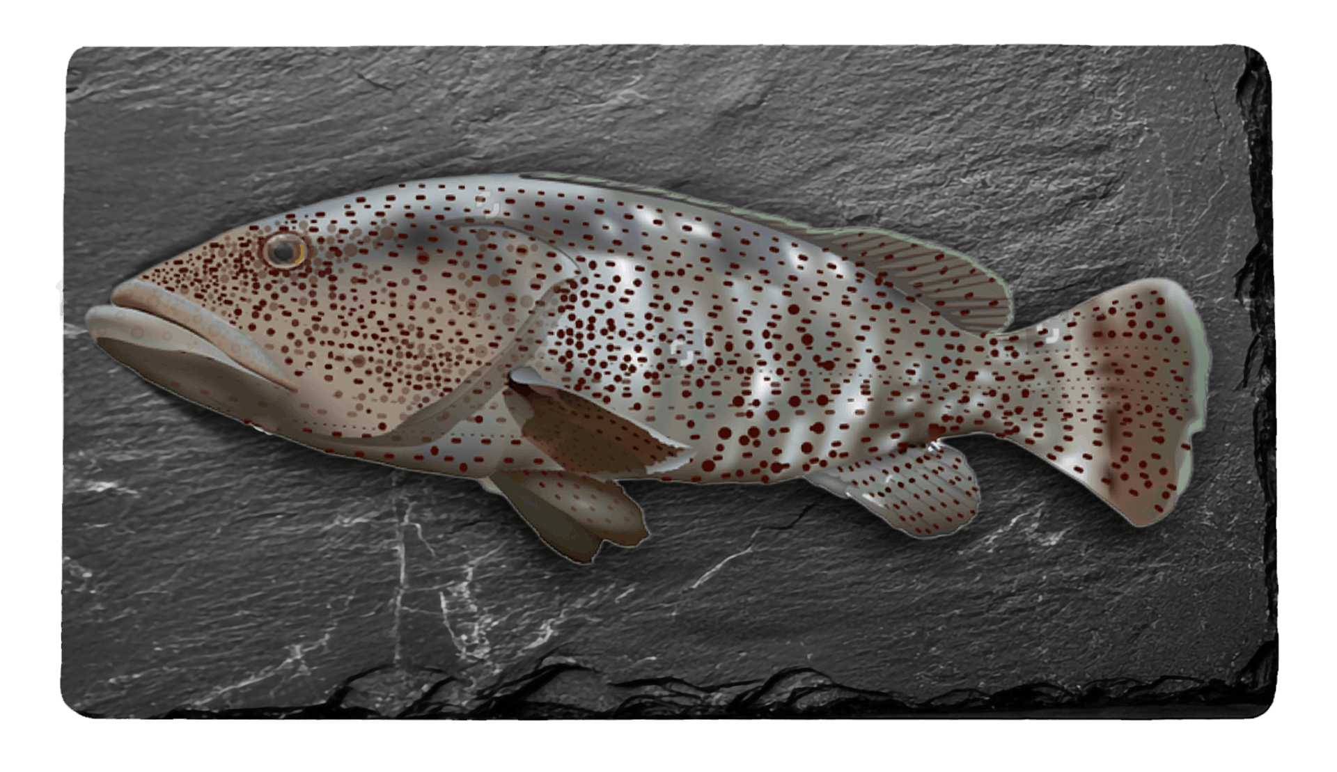 Grouper
