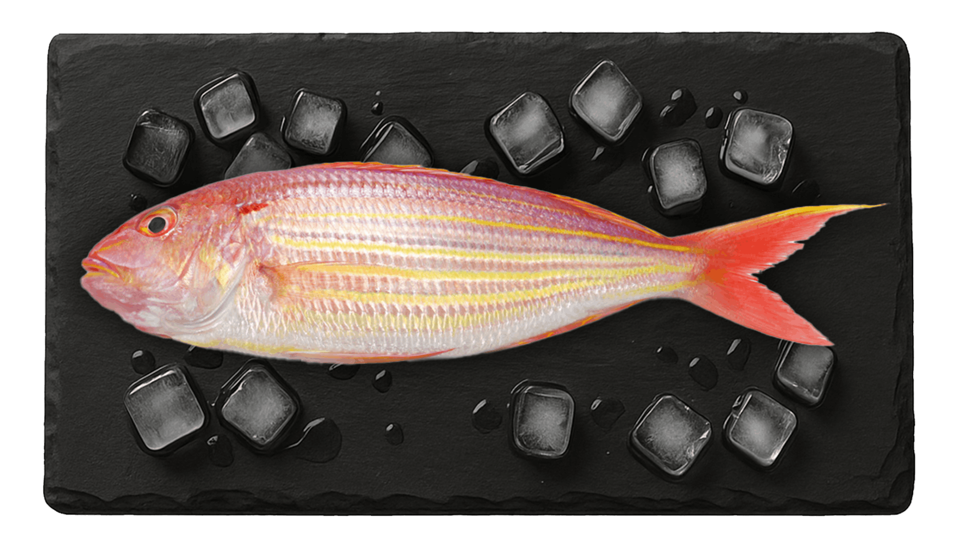 Threadfin Bream