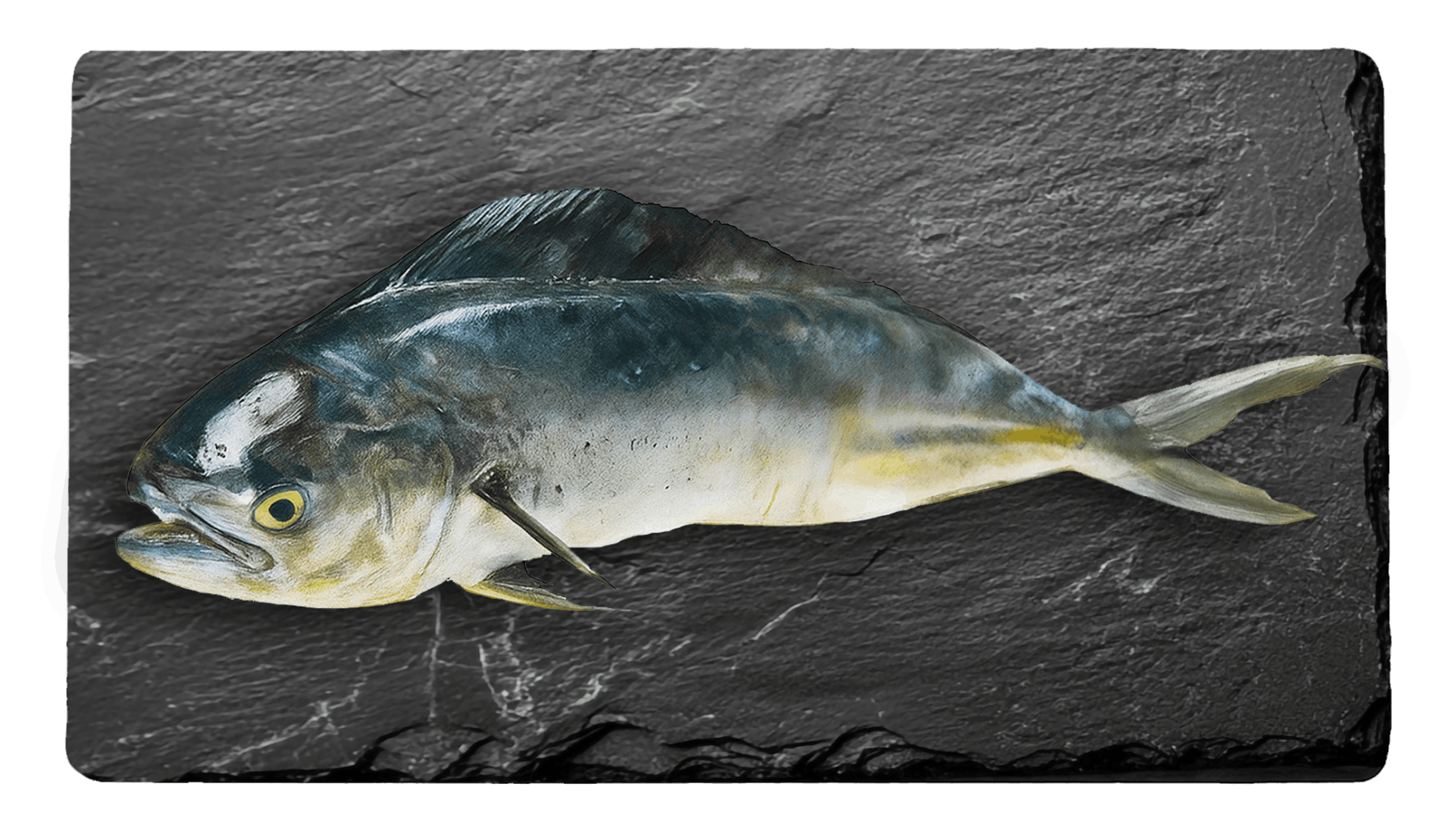 Mahi Mahi
