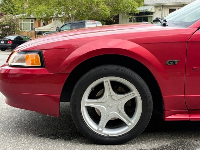 /choosesuperauto/2000-Ford-Mustang-437722827562363.jpg