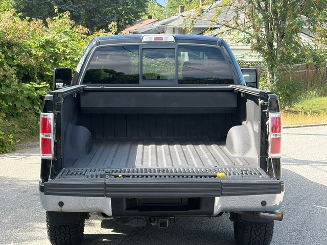 /choosesuperauto/2009-Ford-F-150-5075724932101184.jpg