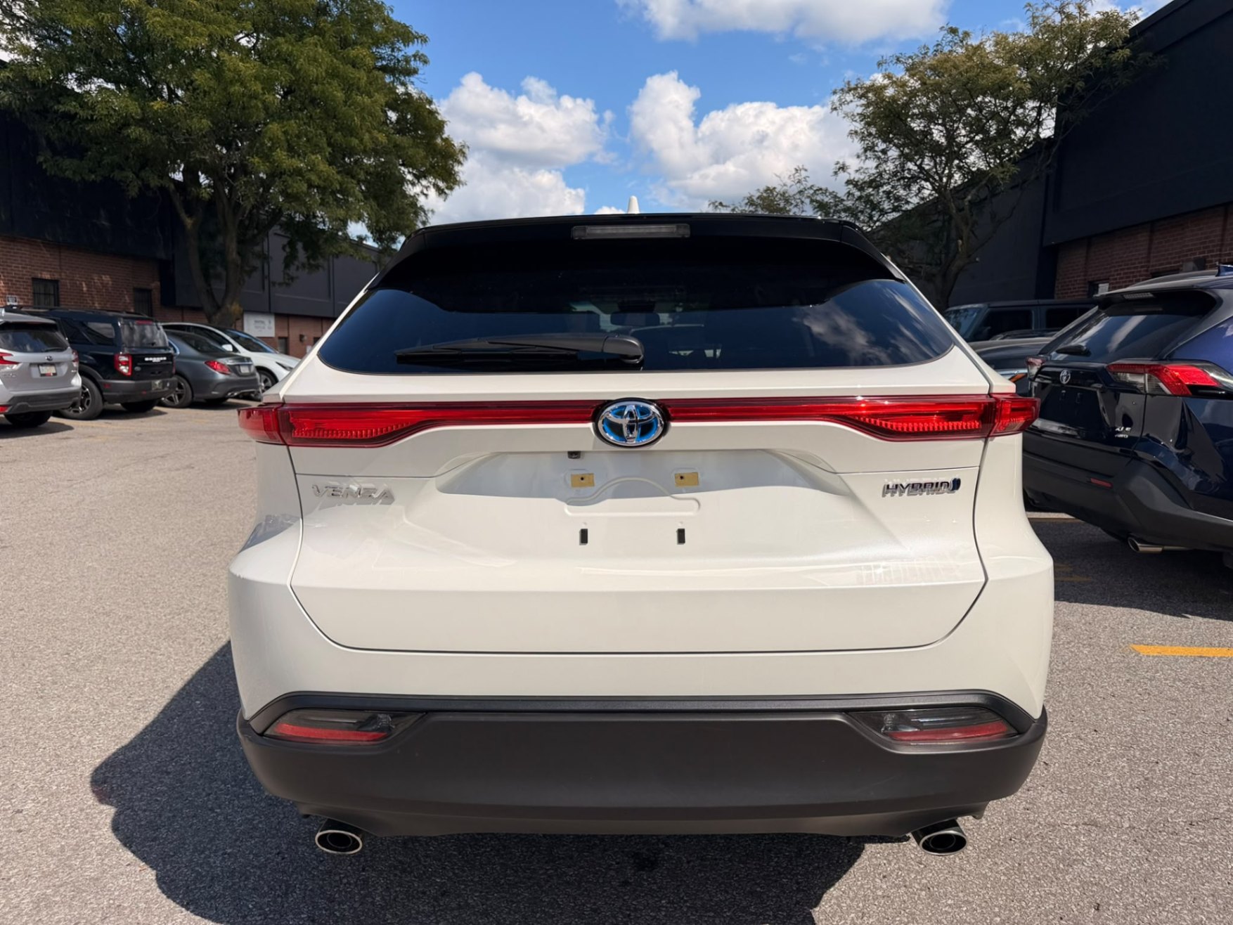/crownautomobile/2021-Toyota-Venza-8406528601445267.jpg