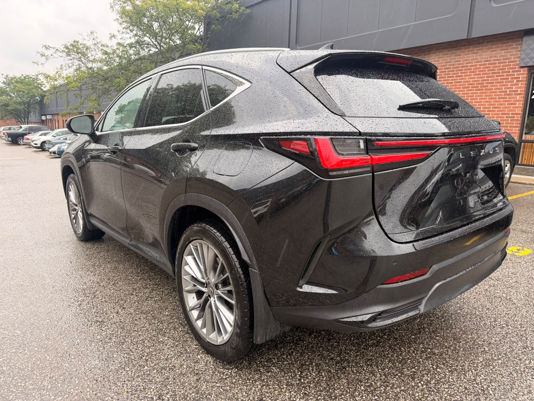 /crownautomobile/2022-Lexus-NX-029493263805578707.jpg