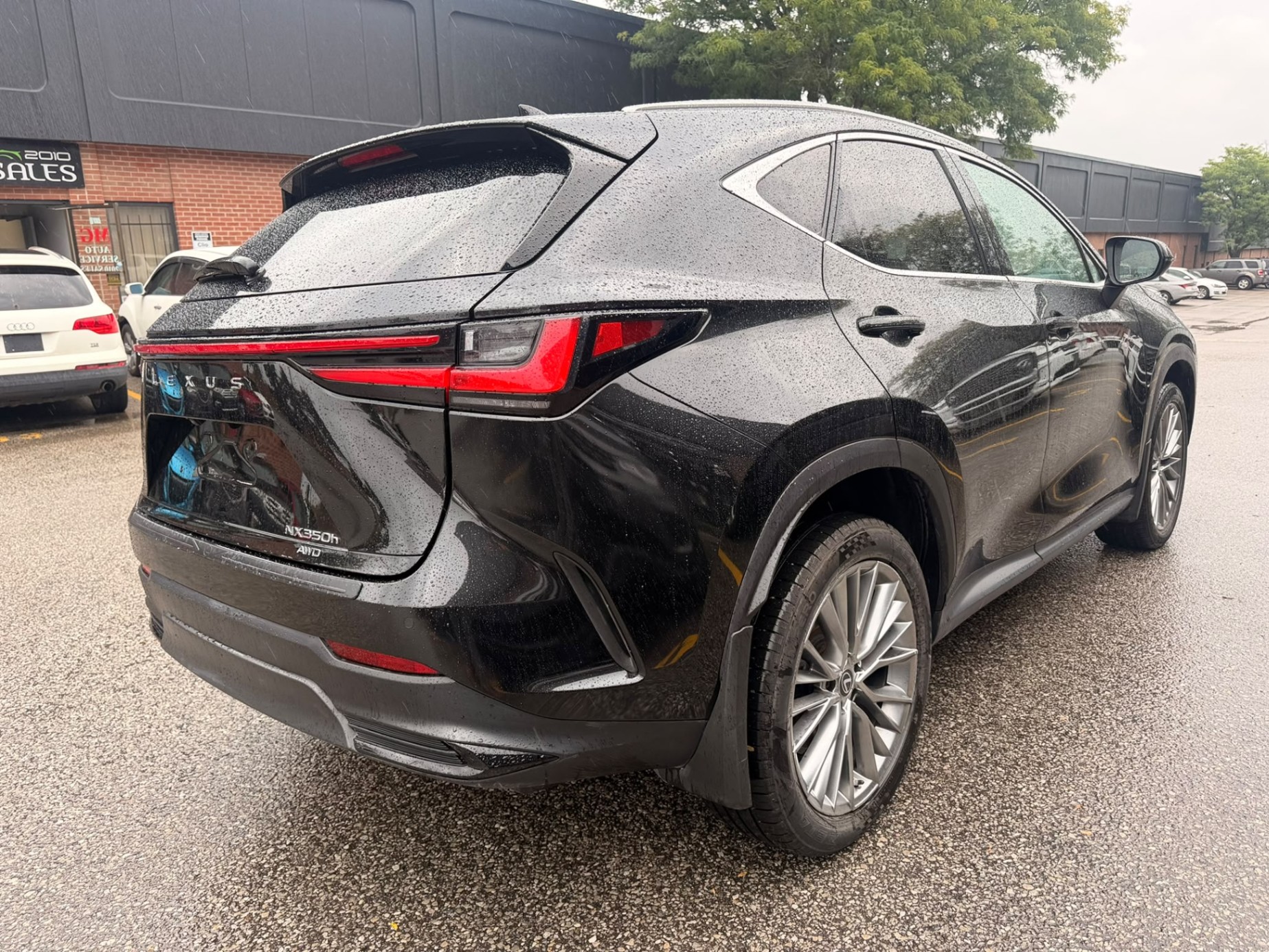 /crownautomobile/2022-Lexus-NX-9716422445799435.jpg