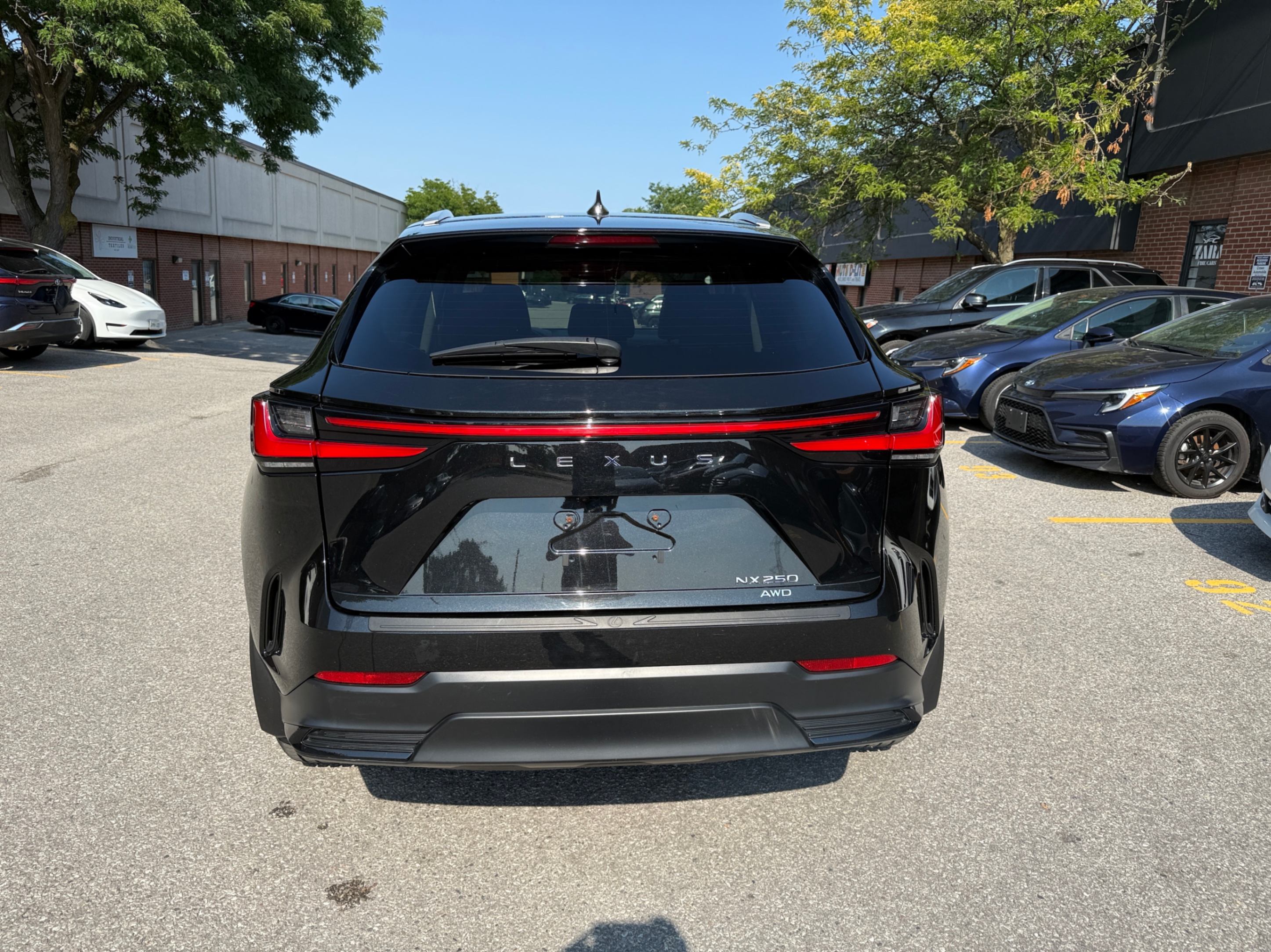 /crownautomobile/2023-Lexus-NX-21735629016354863.jpg