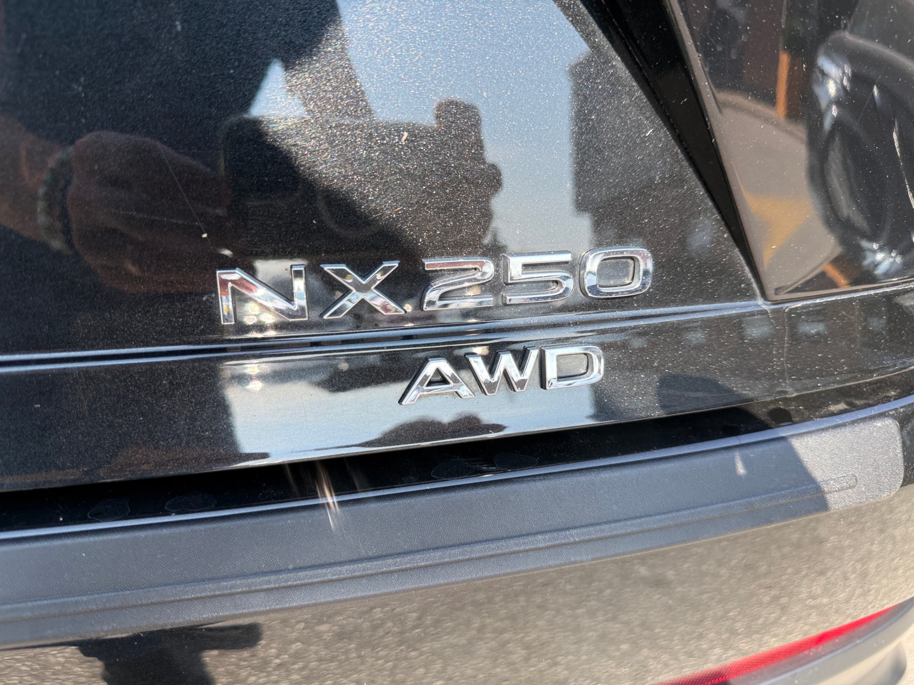 /crownautomobile/2023-Lexus-NX-28536544570677047.jpg