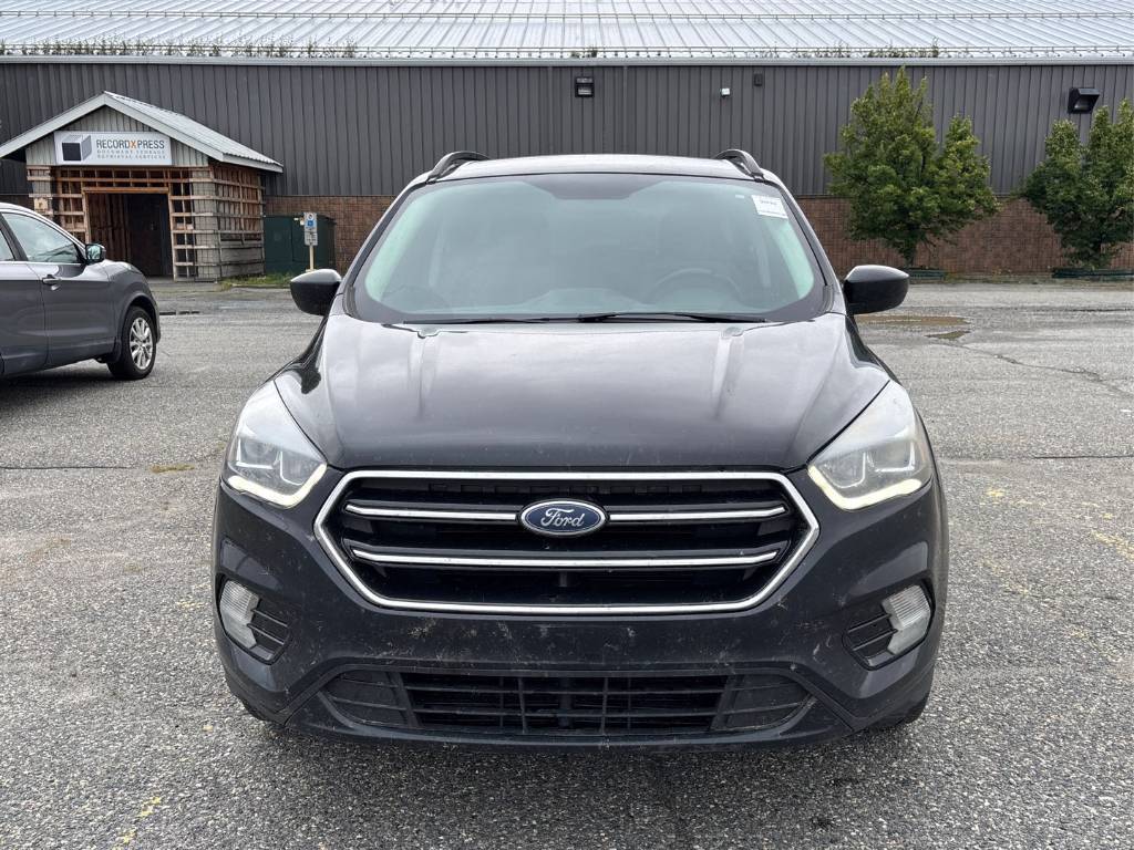 /dreamdriveauto/2019-Ford-Escape-9807403855463916.jpg