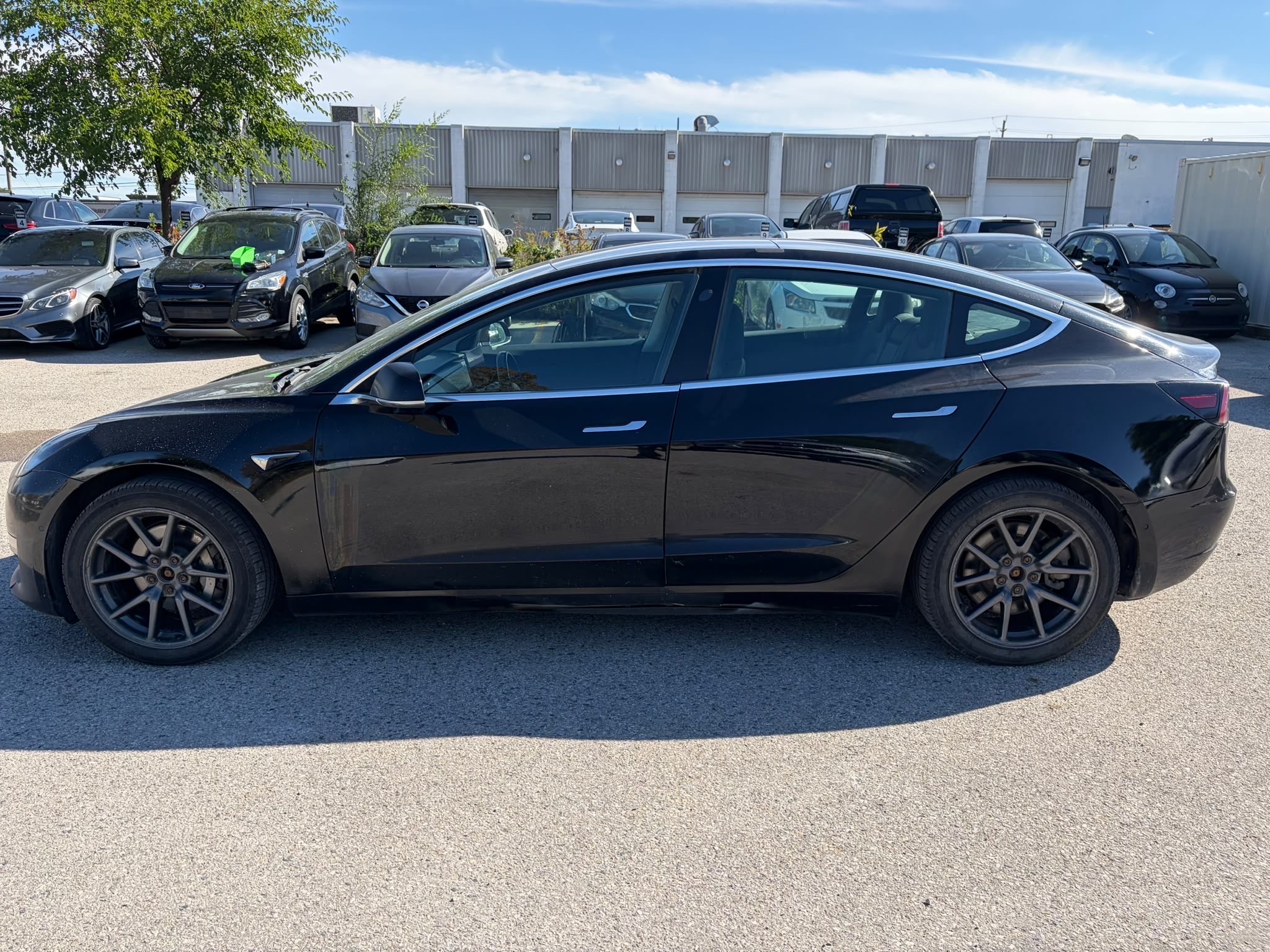 /dreamdriveauto/2019-Tesla-Model3-022153275191574062.jpg