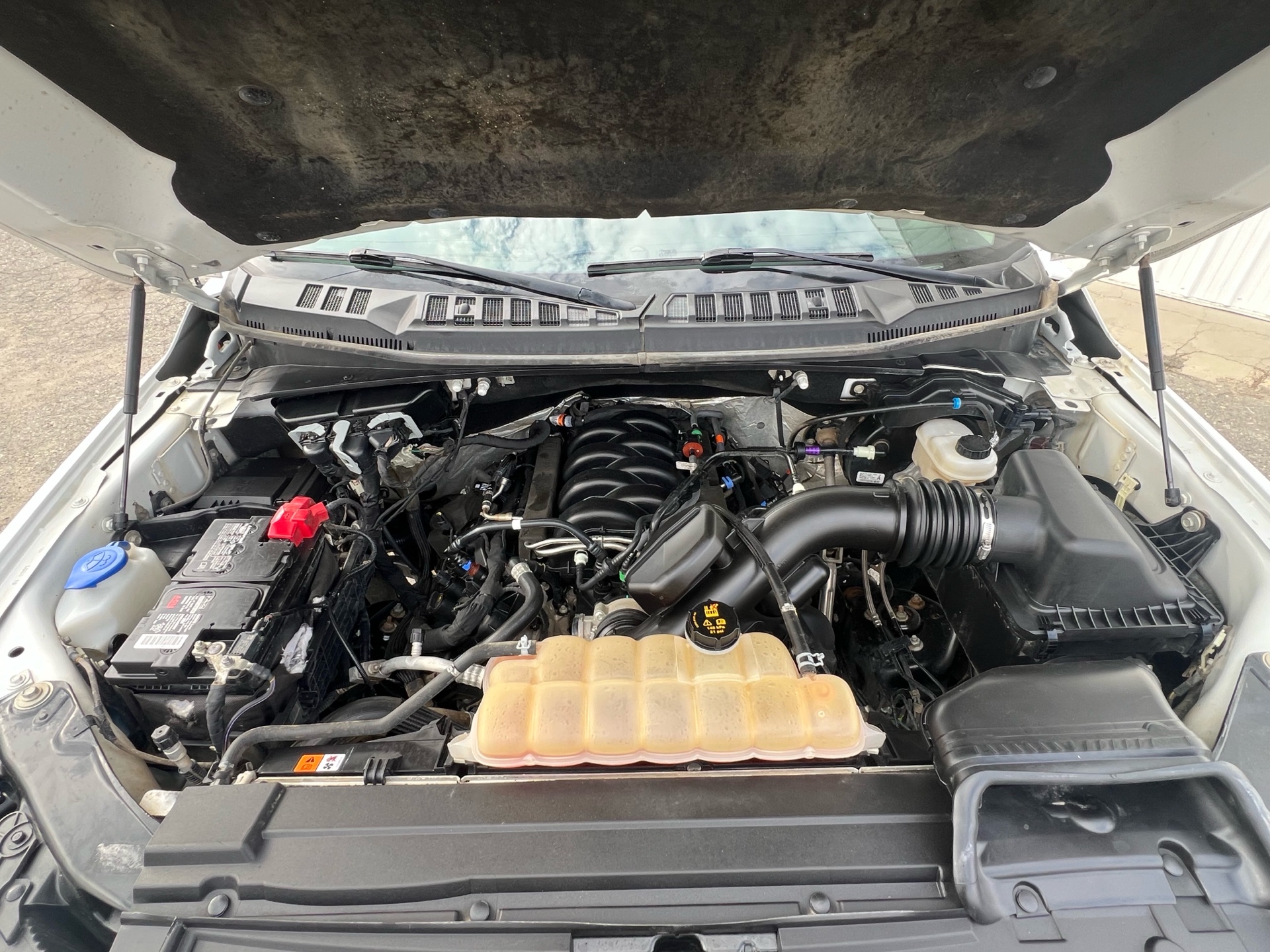 /drivehubautosales/2019-Ford-F-150-7940945637985117.jpg