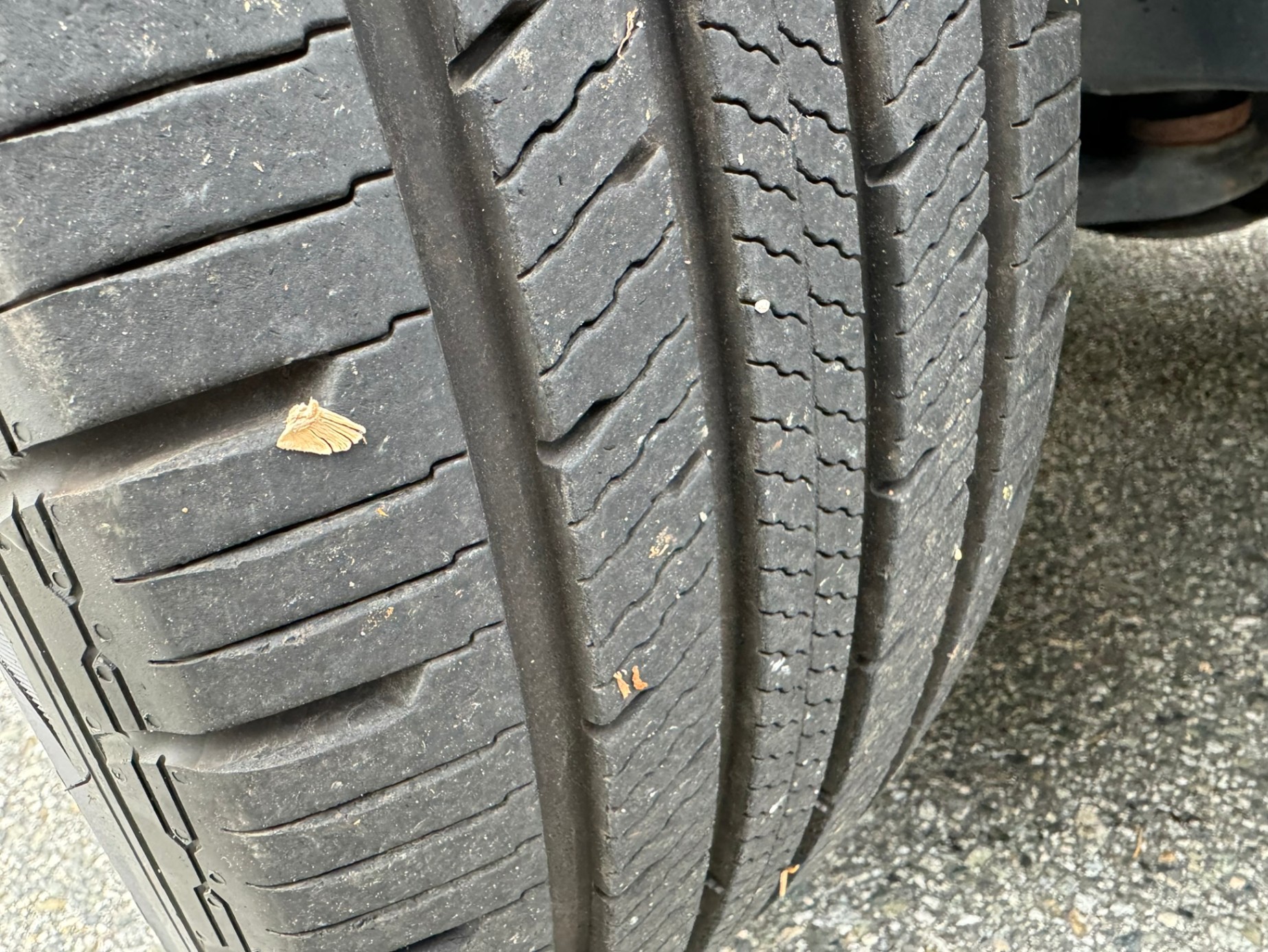 /enixmotorsportltd/2009-Ford-Escape-28197241035022547.jpg