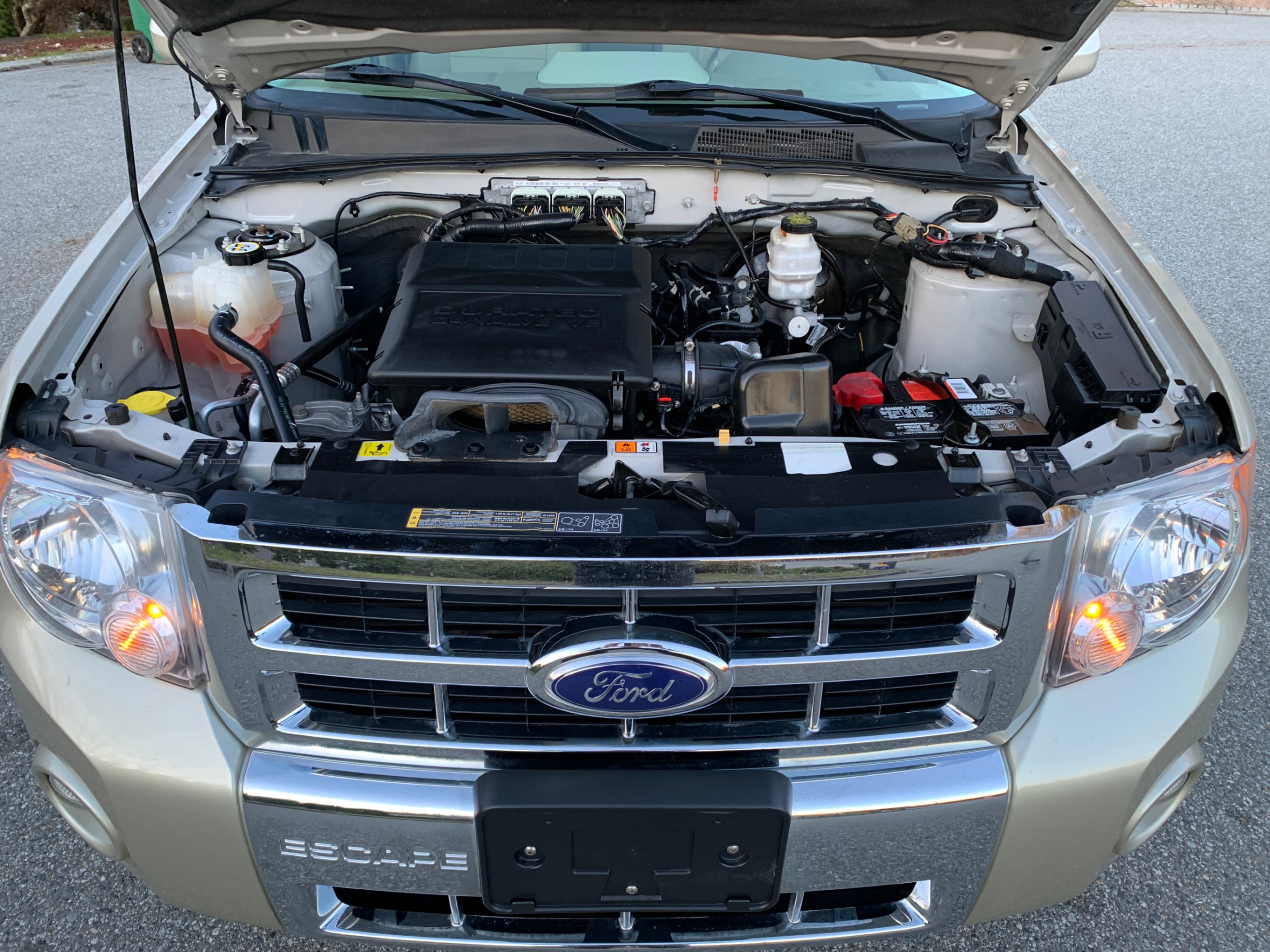 /enixmotorsportltd/2011-Ford-Escape-7617382840737155.jpg